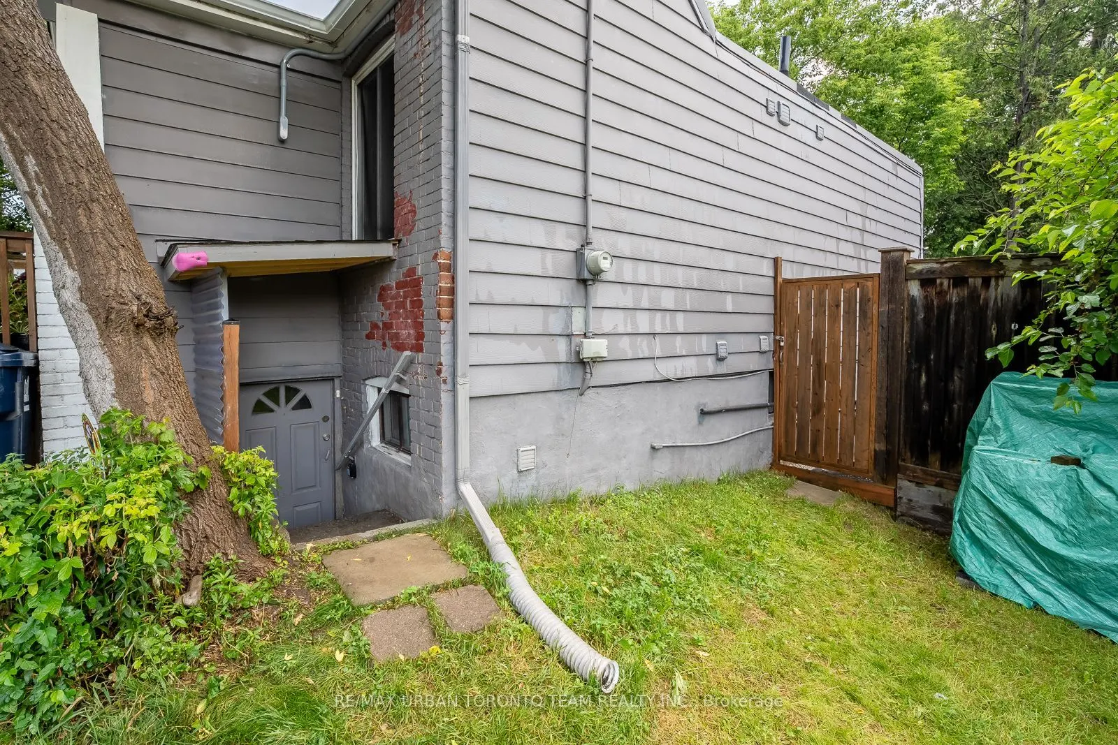 115A Coxwell Avenue, #Lower
