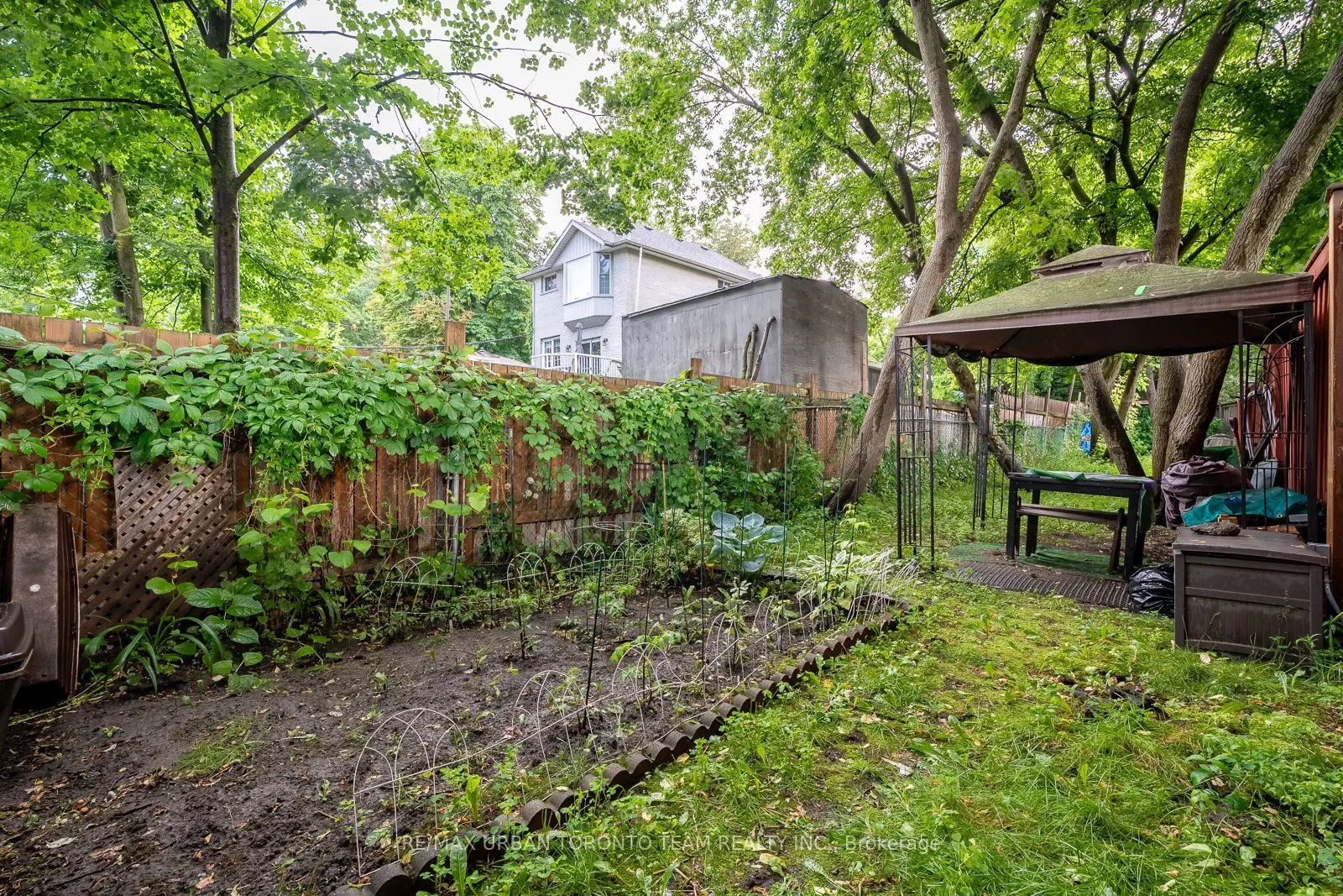115A Coxwell Avenue, #Lower