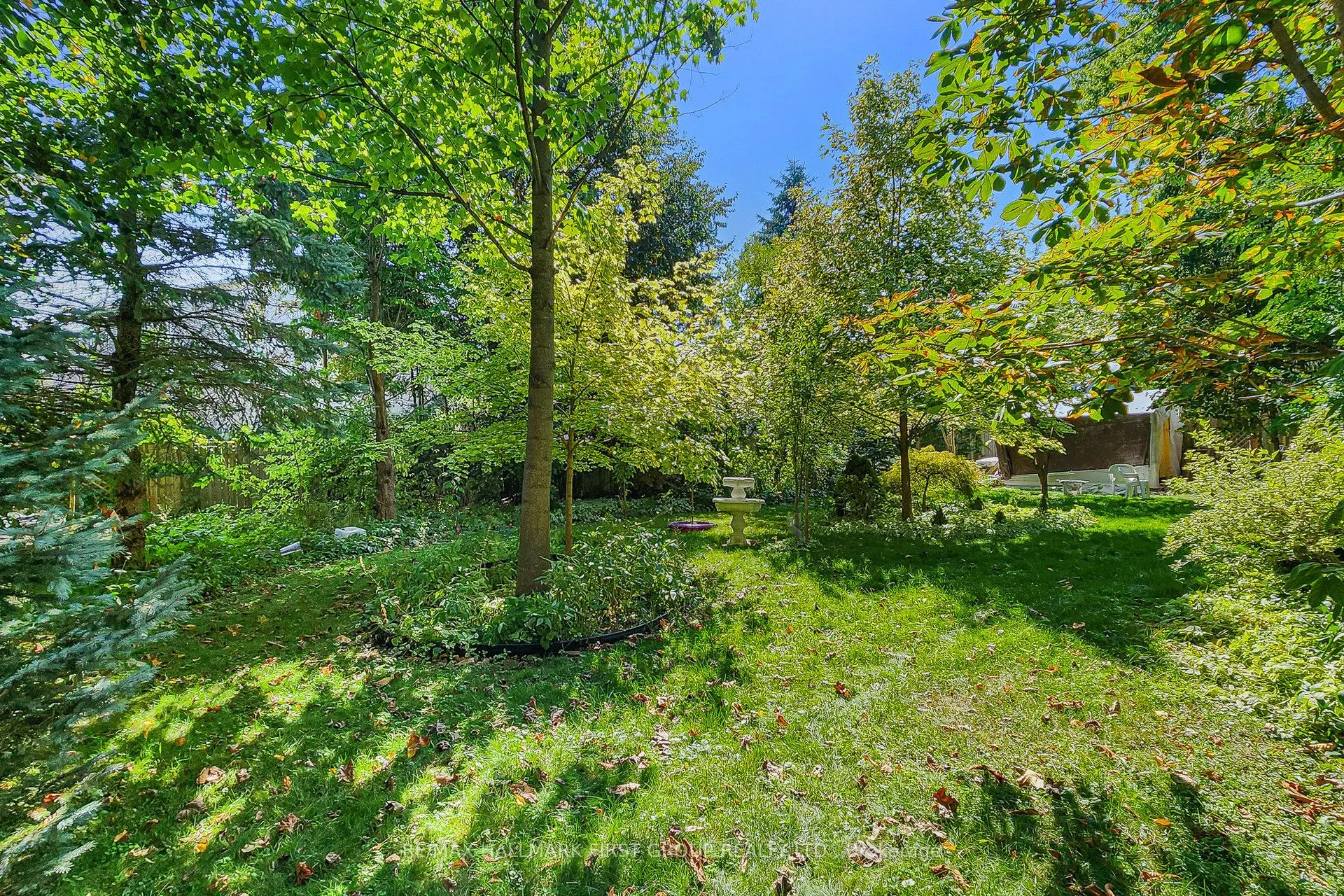 1433 Finch Avenue