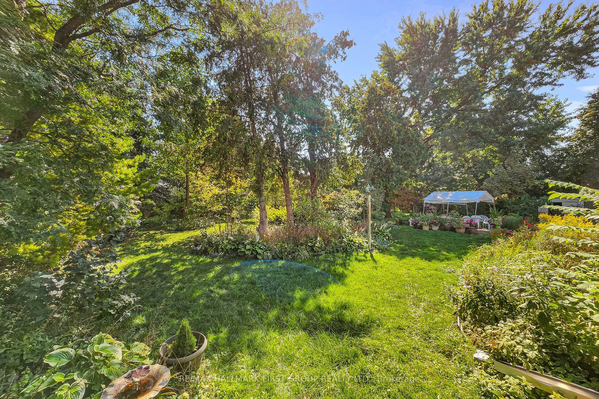 1433 Finch Avenue