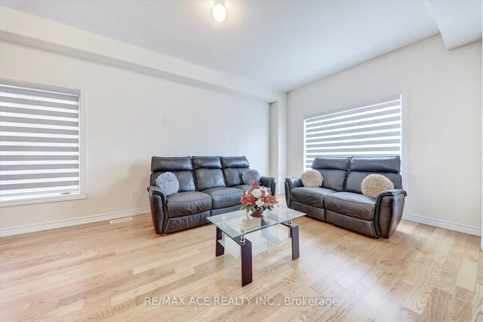 1097 Cameo Street