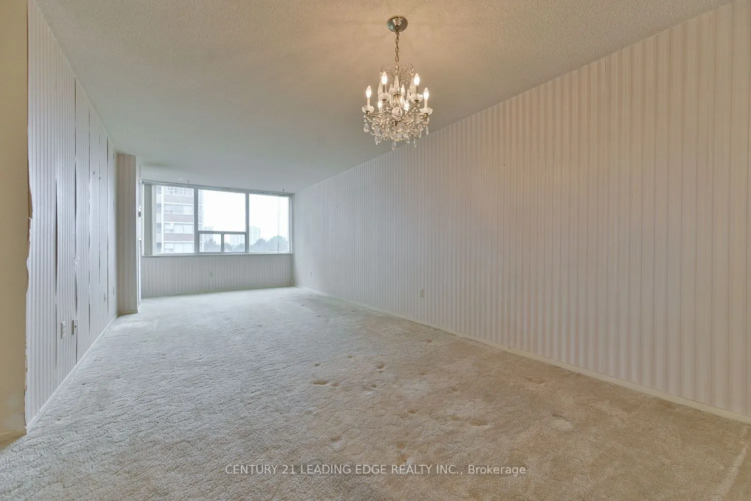 45 Silver Springs Boulevard, #503