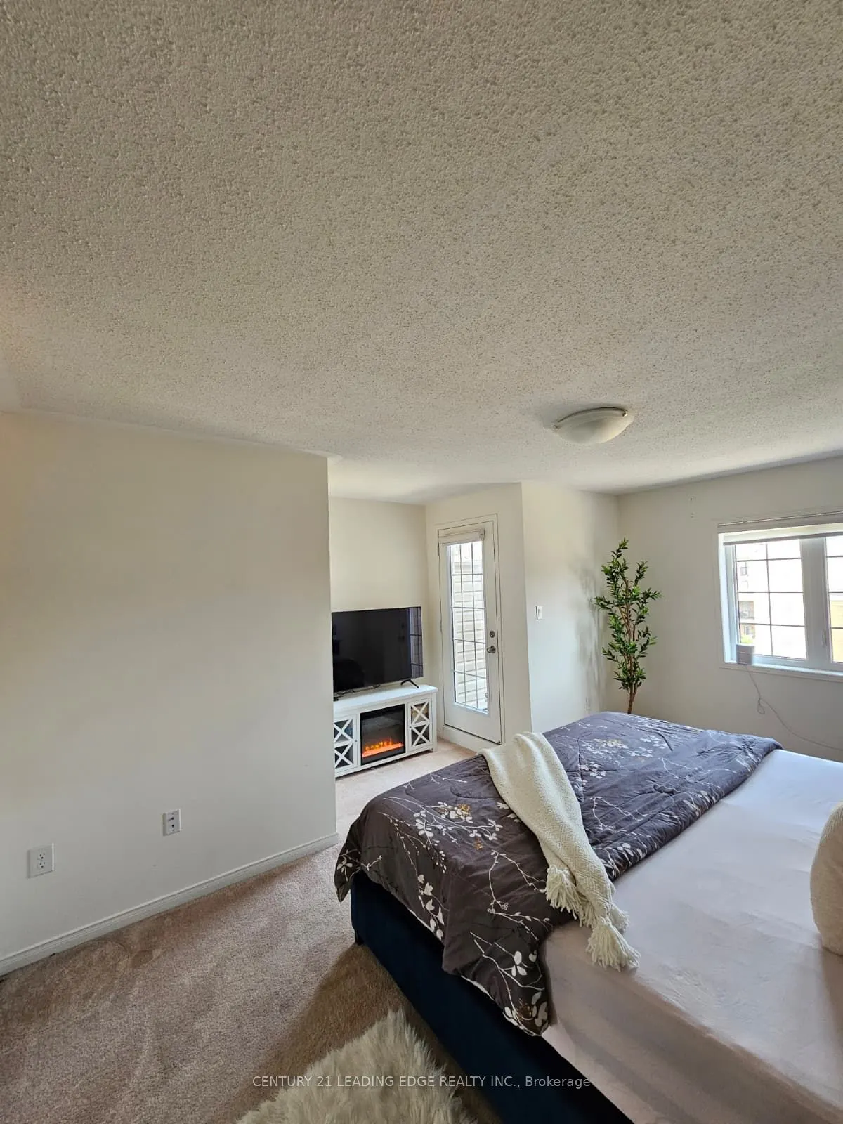 2446 ROSEDROP Path