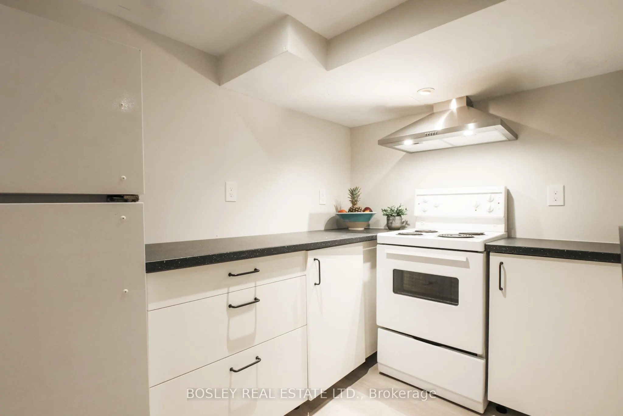 169 Langley Avenue, #Lower