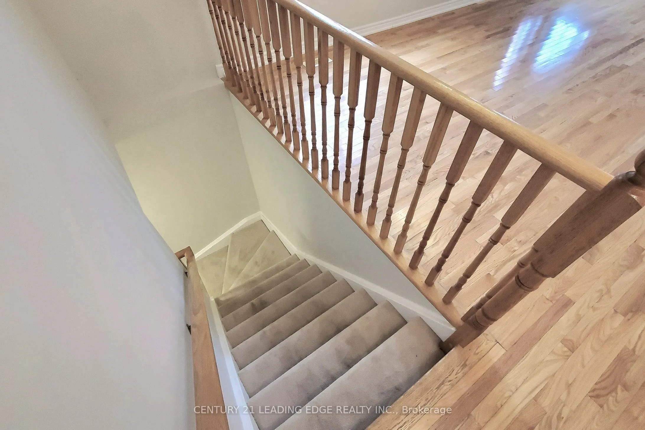 29 PARDON Avenue