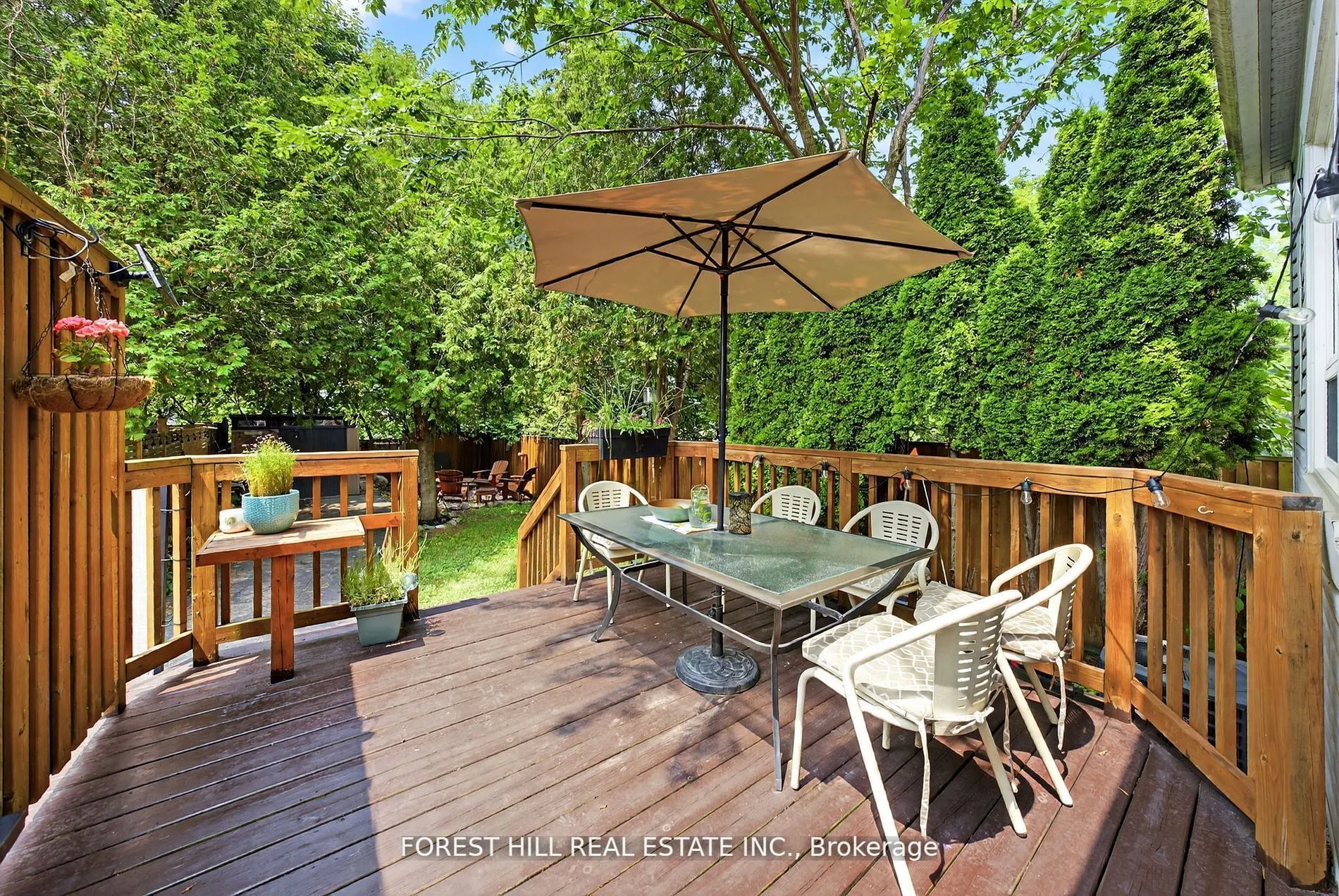 38 Scotia Avenue