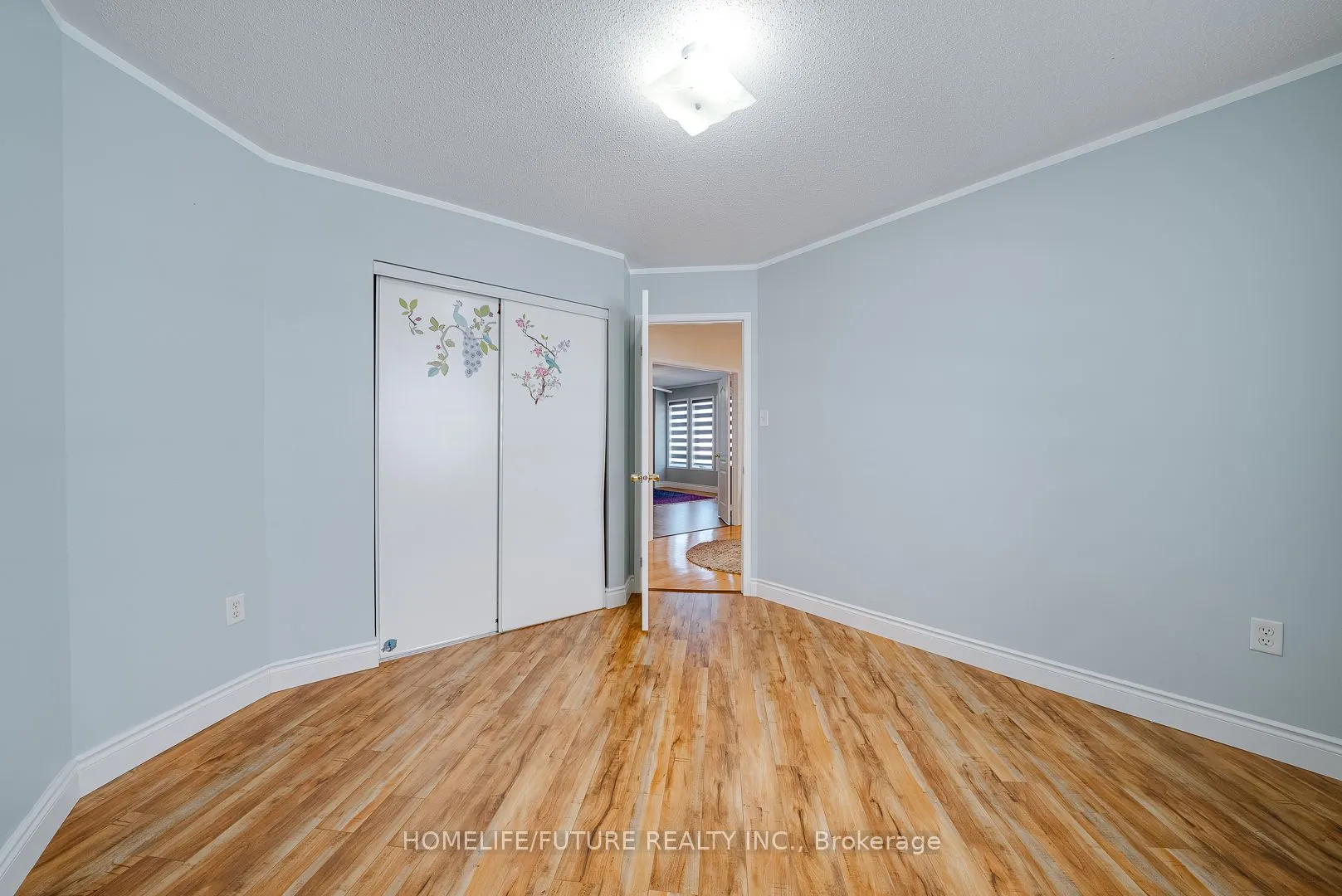 27 Oleary Drive