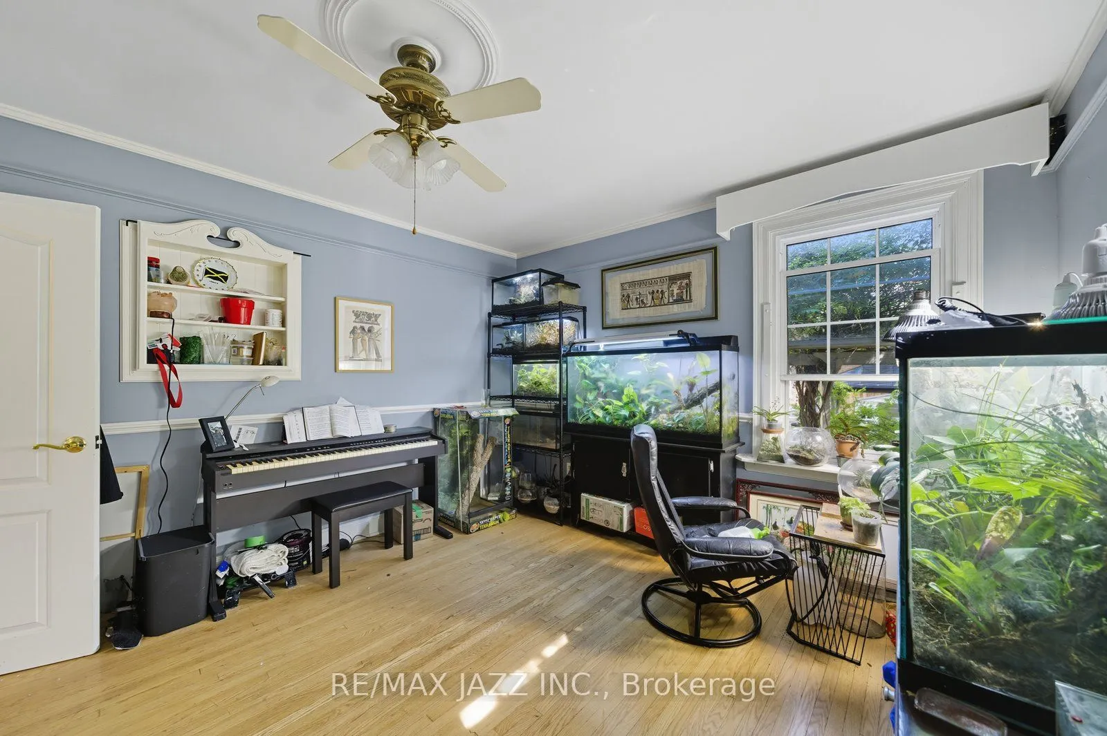 79 Lauder Road