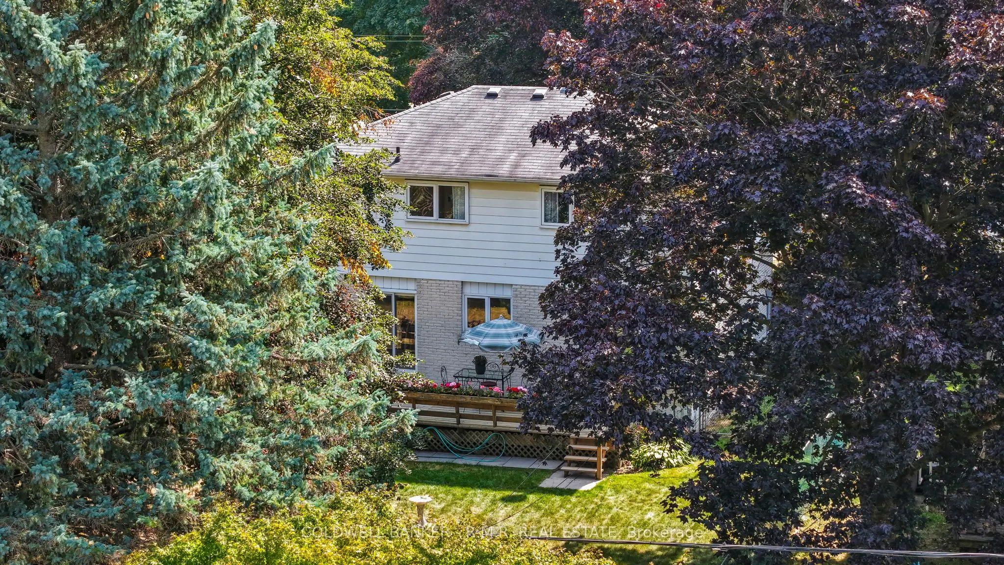 6 Carwin Crescent