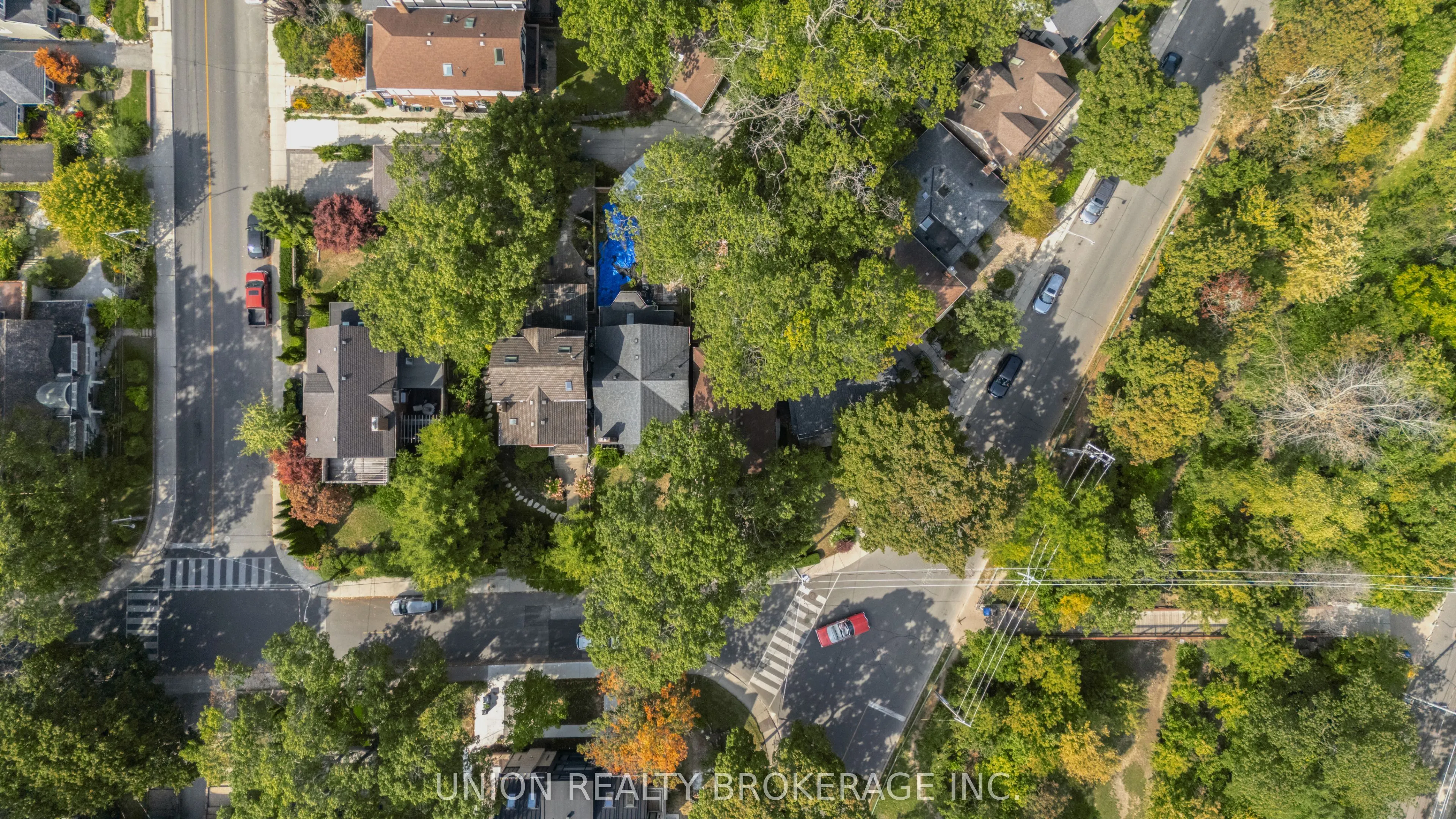 66 Williamson Road