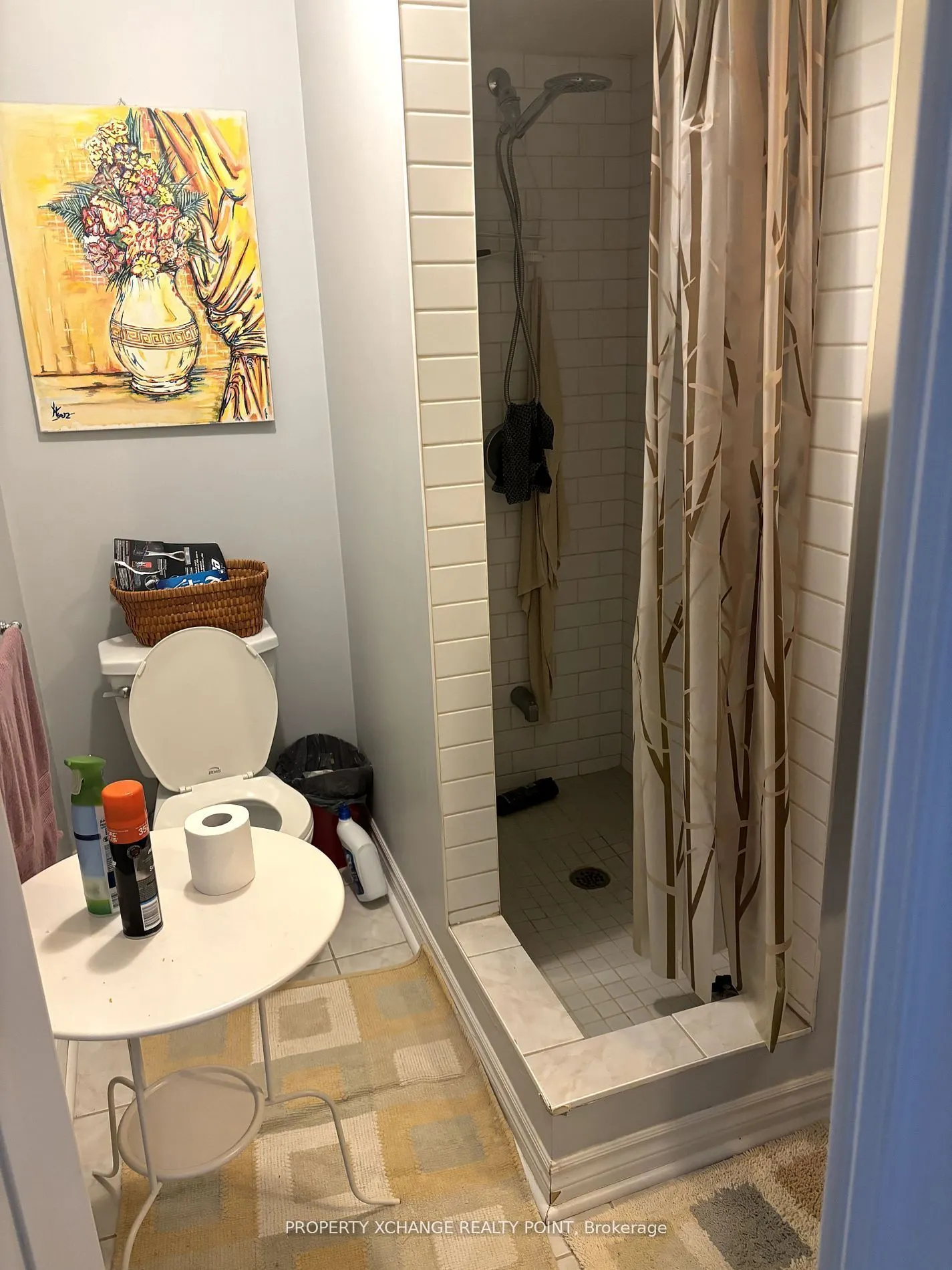 258 Shadow Place