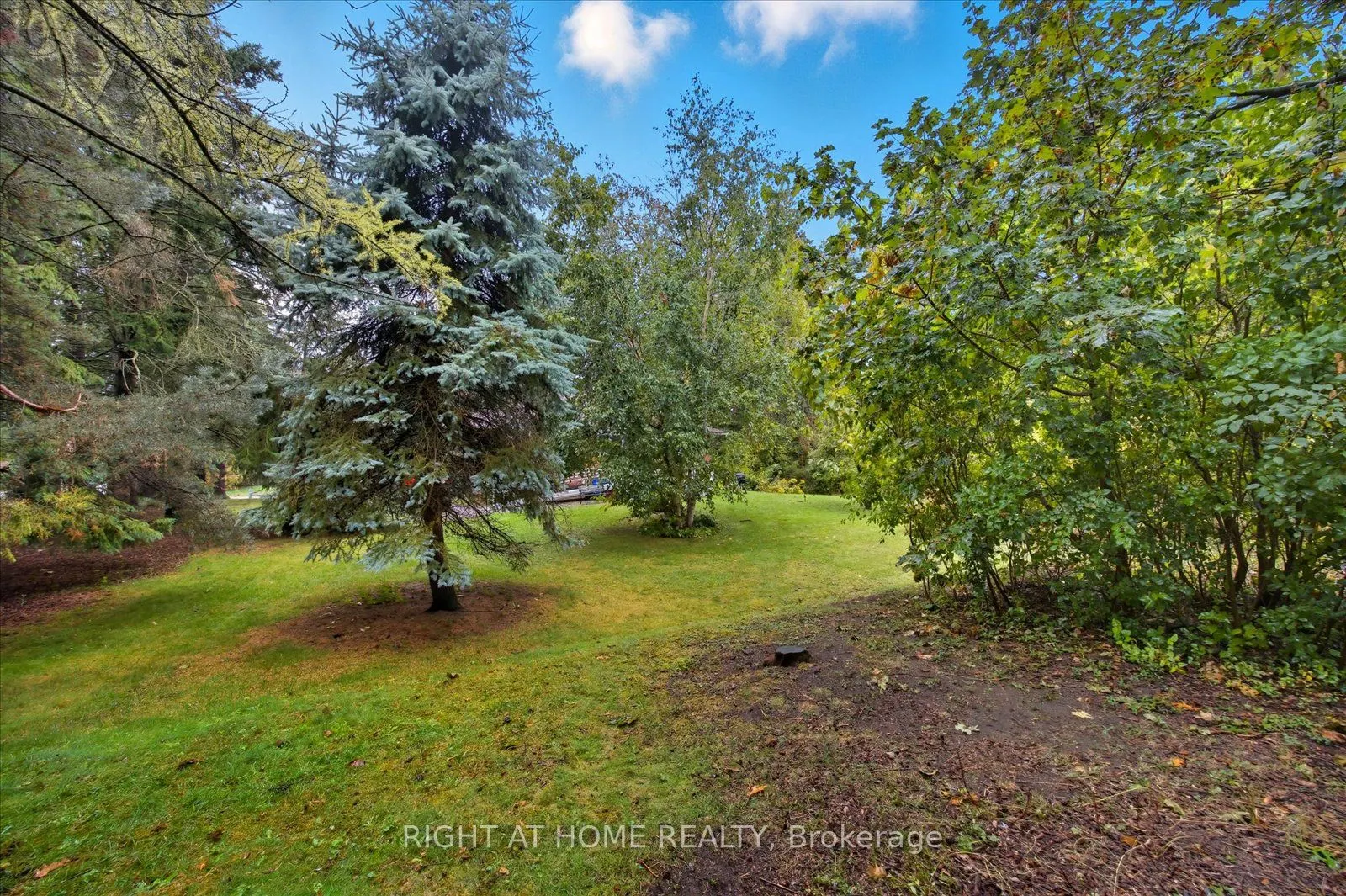 81 Meadow Crescent