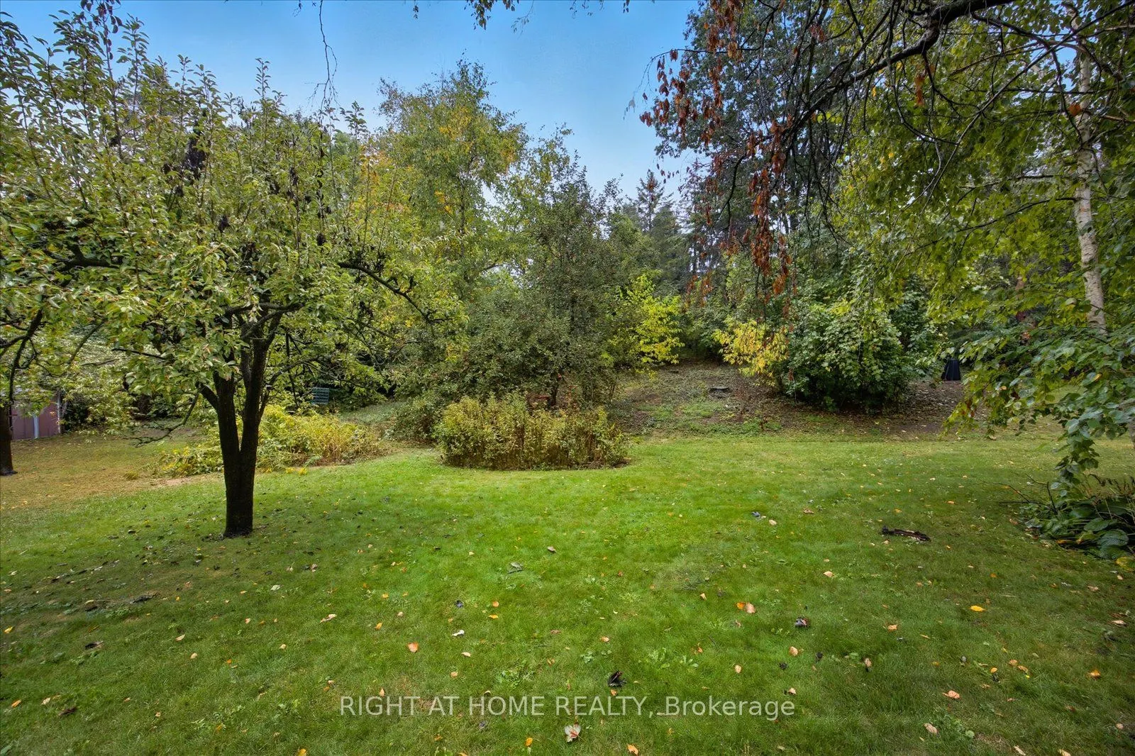 81 Meadow Crescent