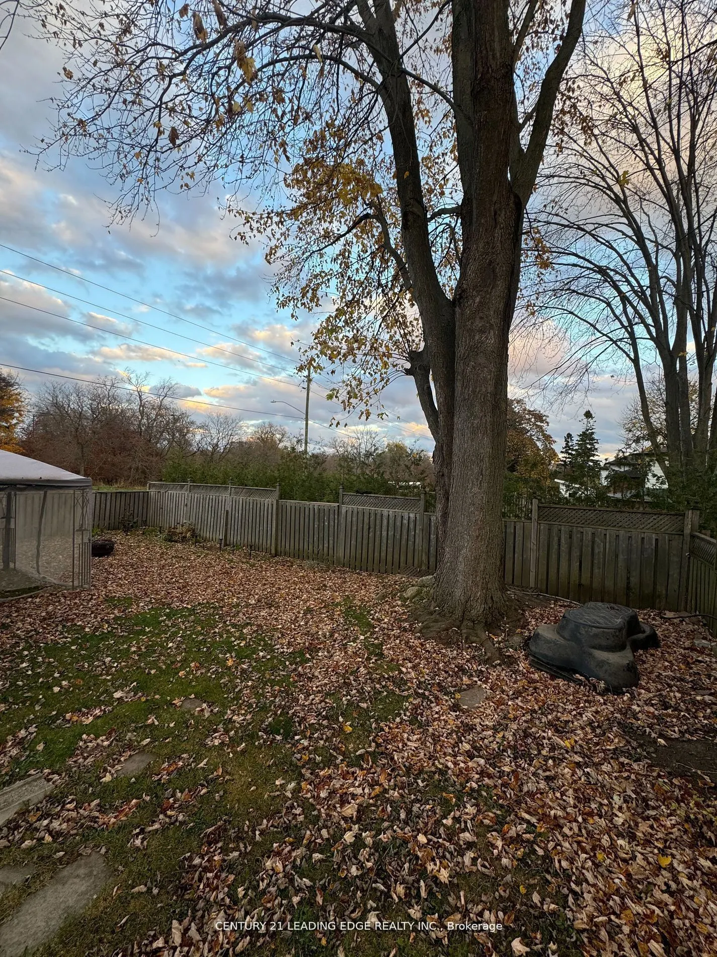 171 Phillip Murray Avenue, #Lower