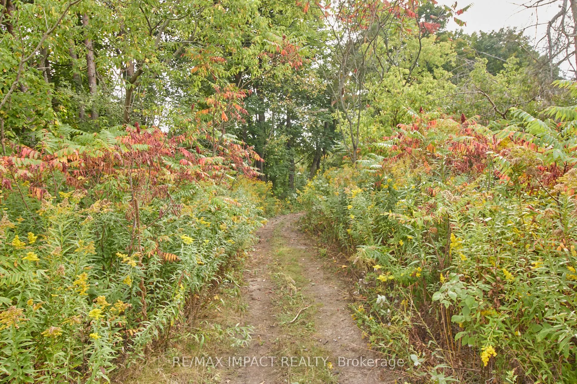 10249 Old Scugog Road