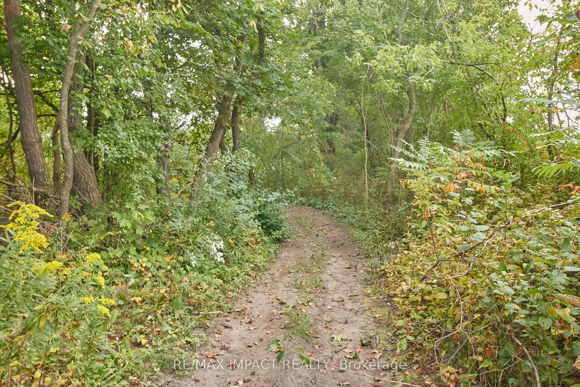 10249 Old Scugog Road