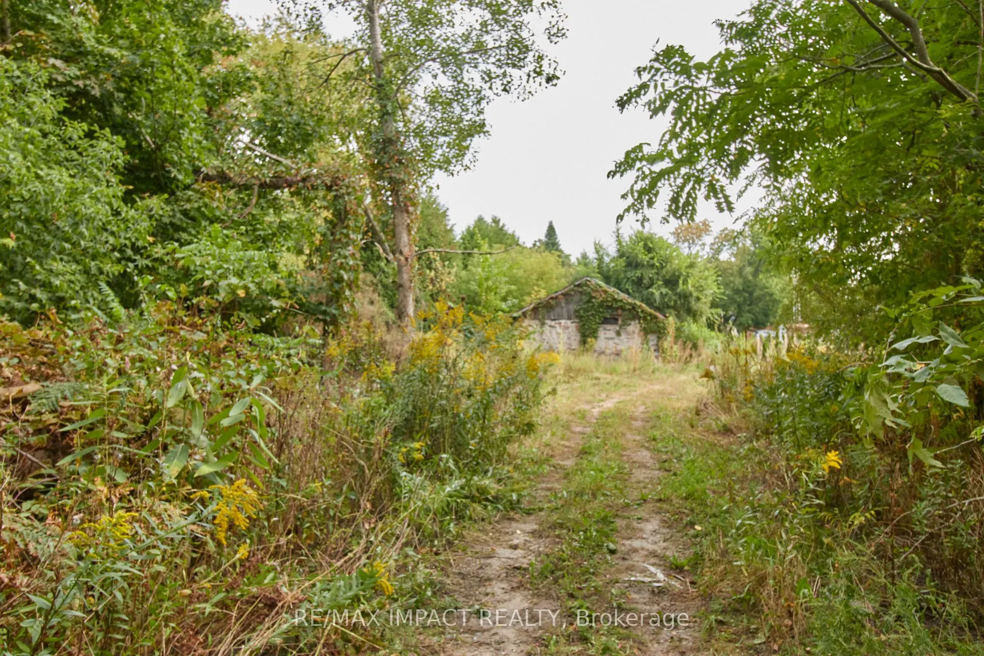 10249 Old Scugog Road