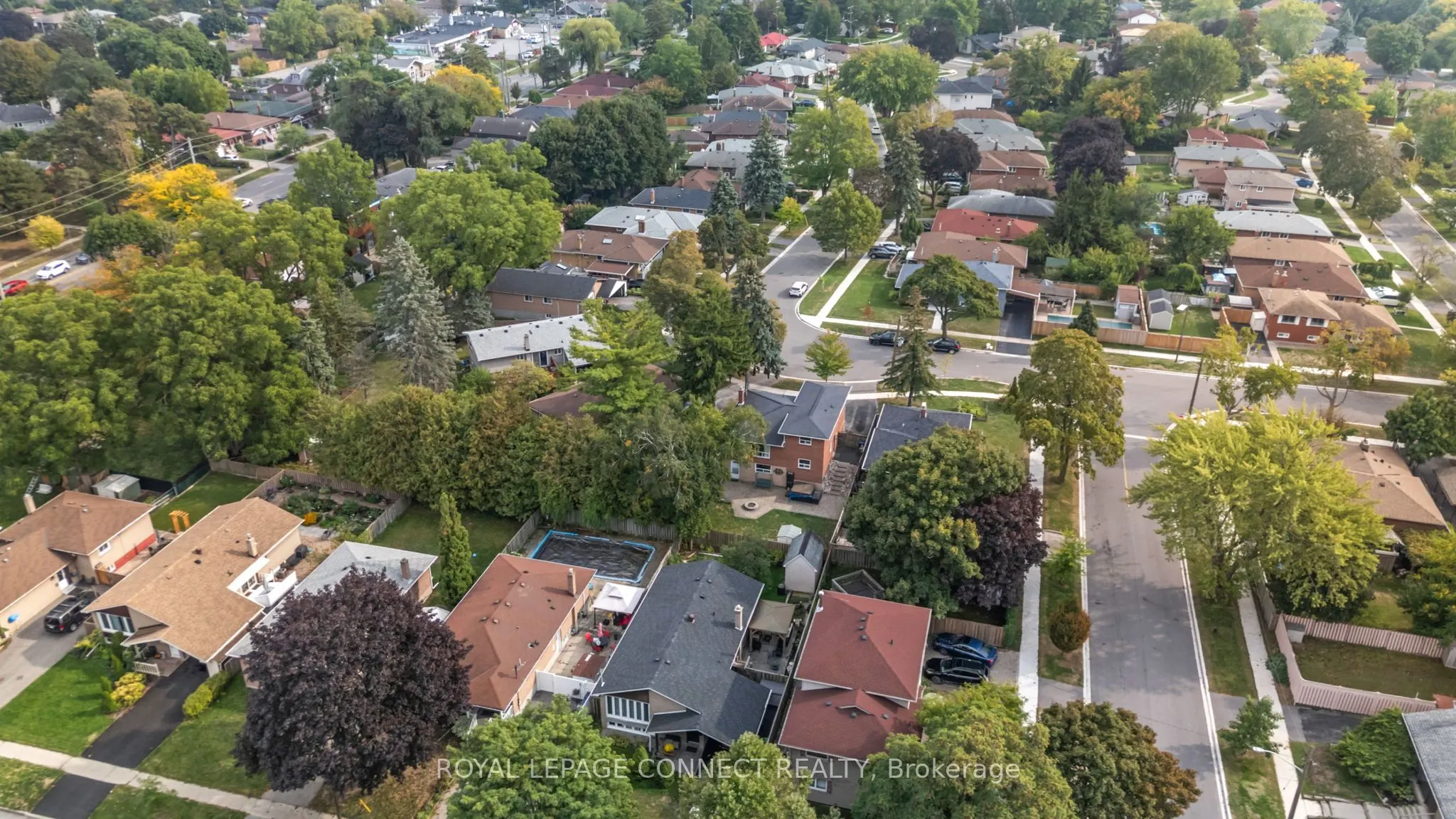 38 Limevale Crescent
