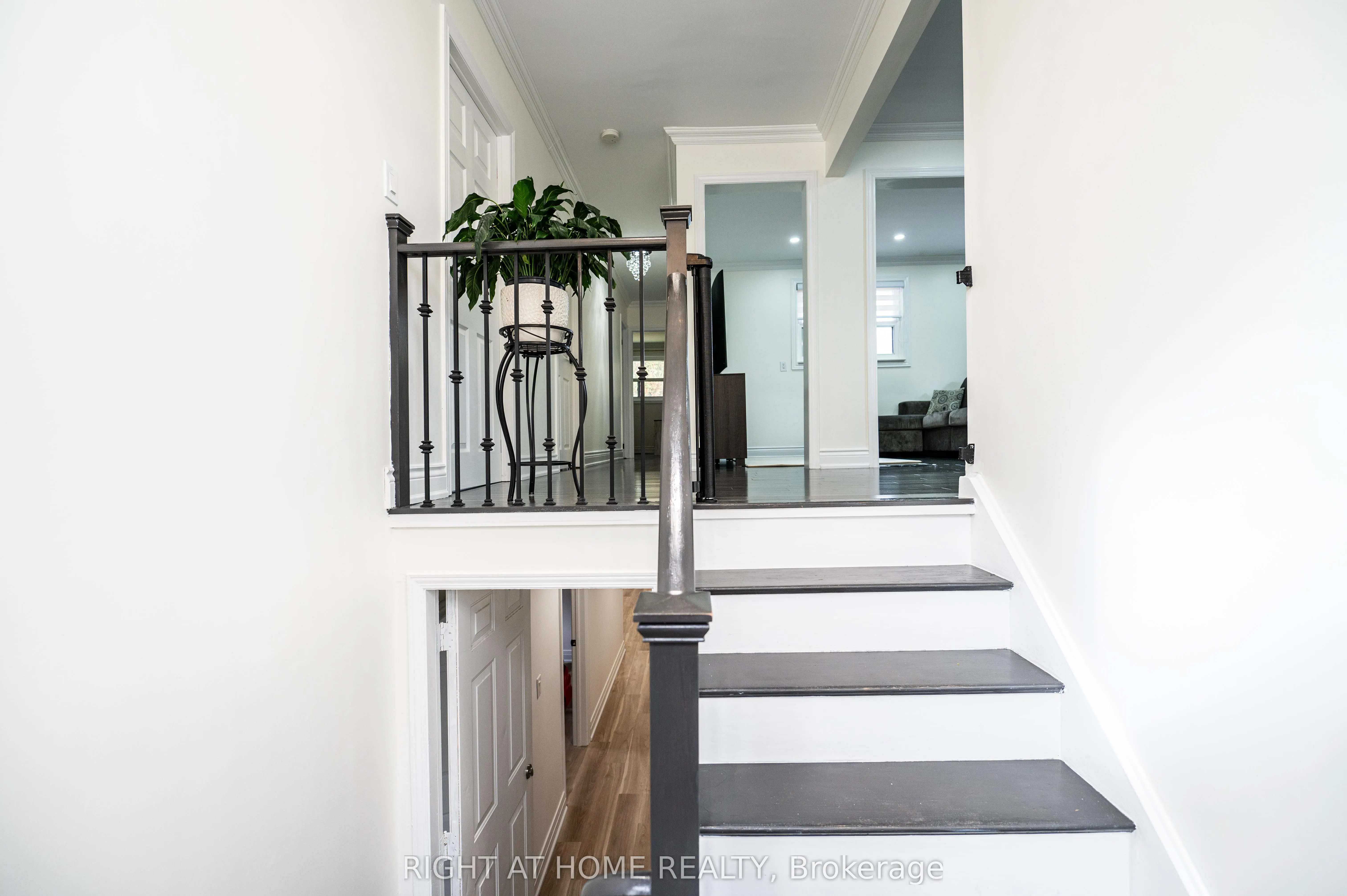 808 Sanok Drive