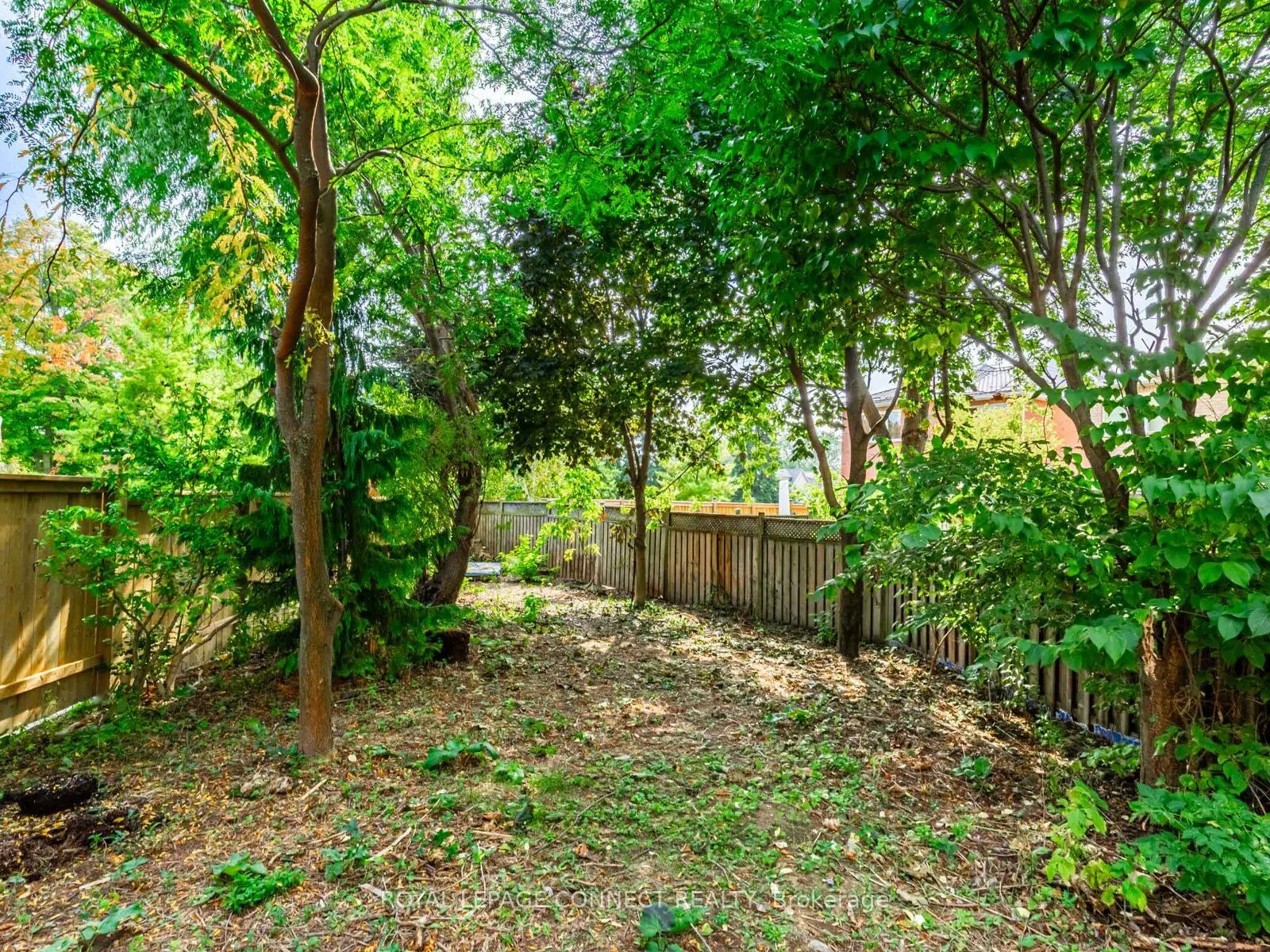 15 Moreau Trail