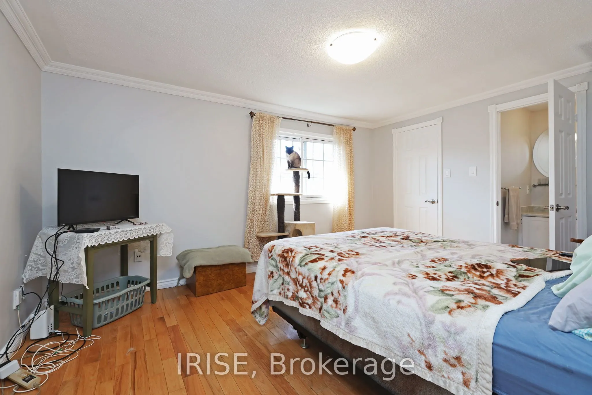 115 Winter Gardens Trail