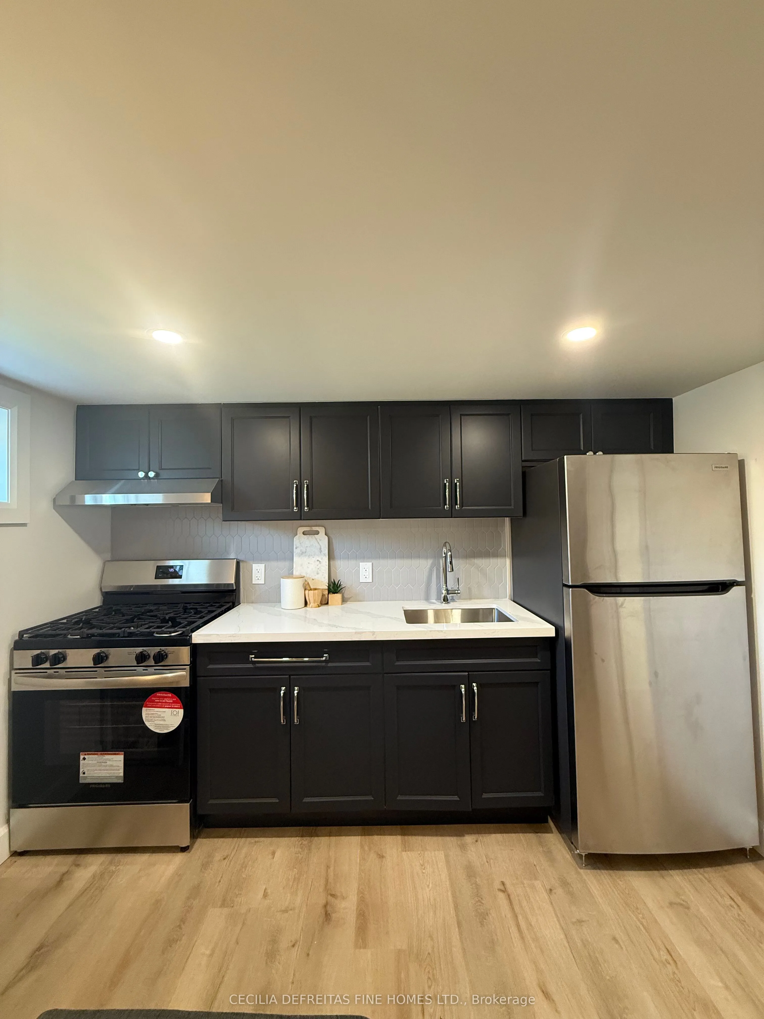 58 Wilson Road N, #BSMT