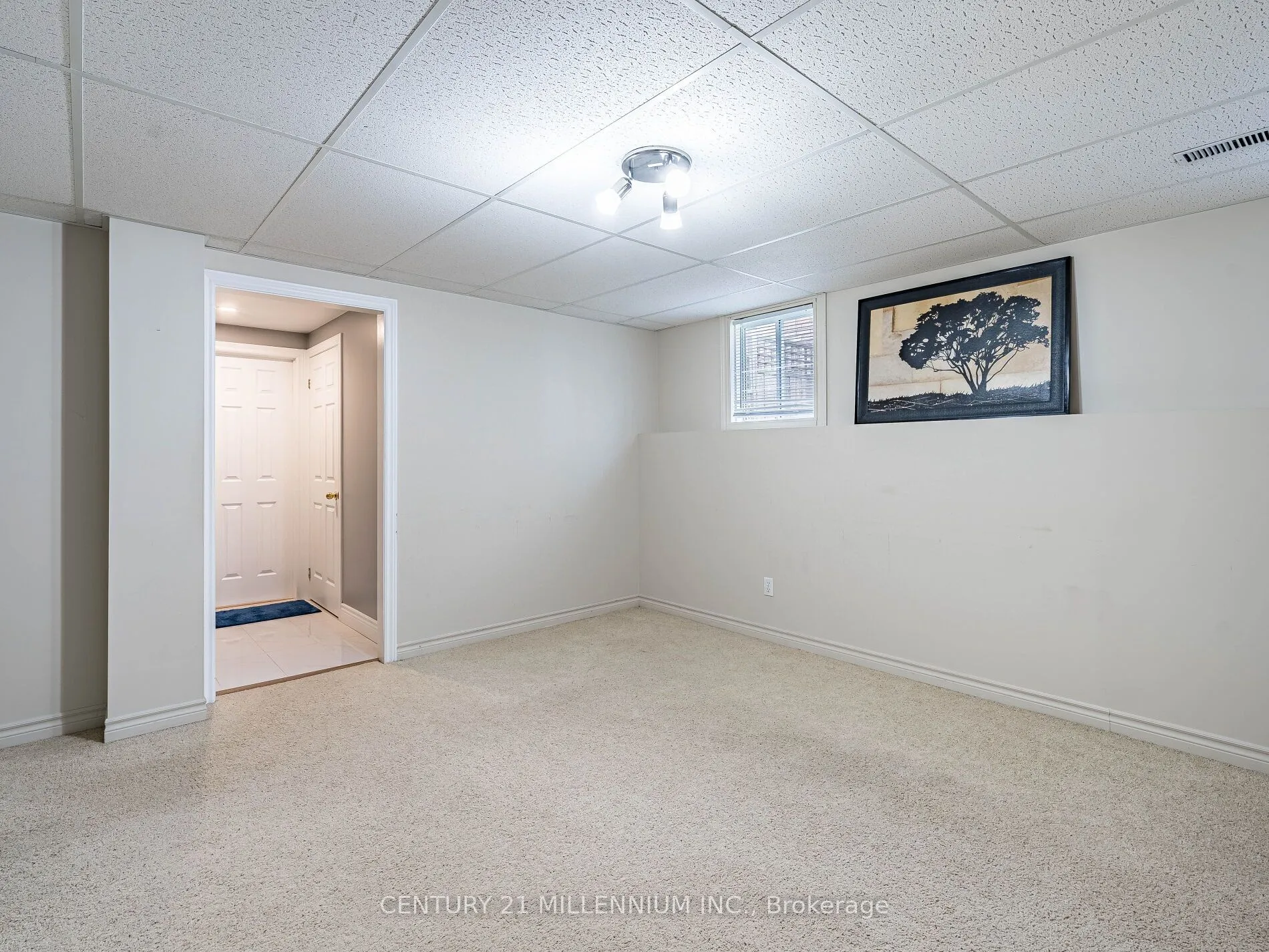 425 Elmwood Court
