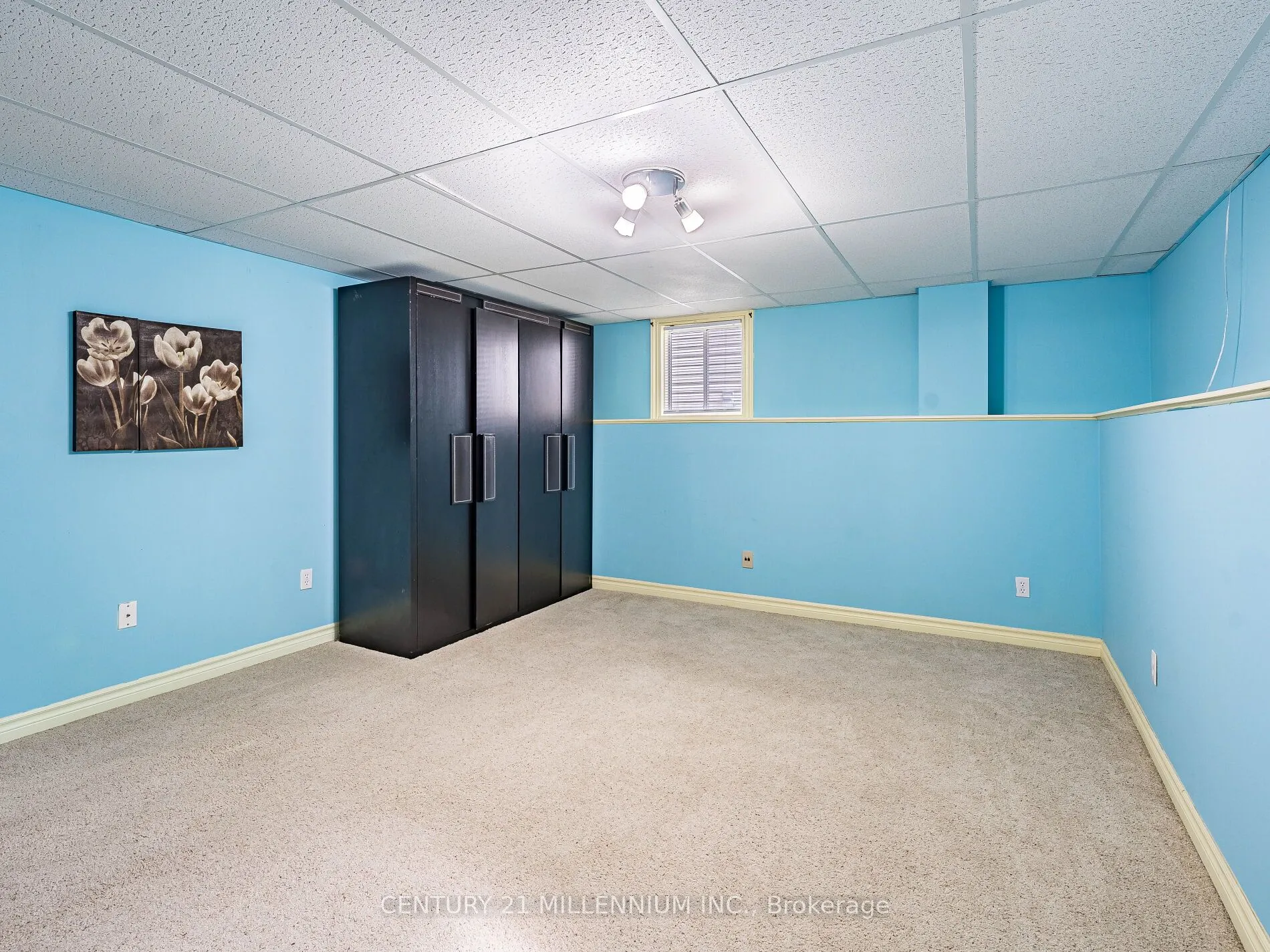 425 Elmwood Court