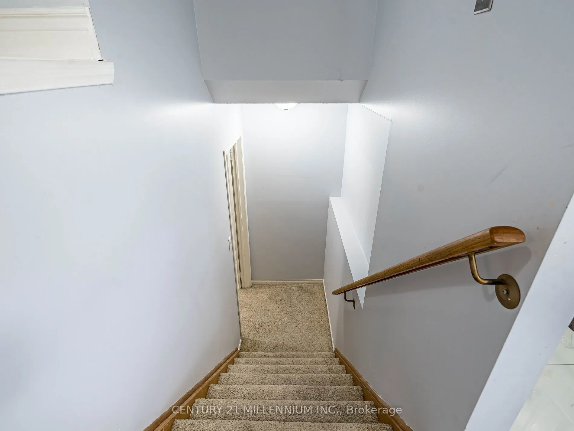 425 Elmwood Court