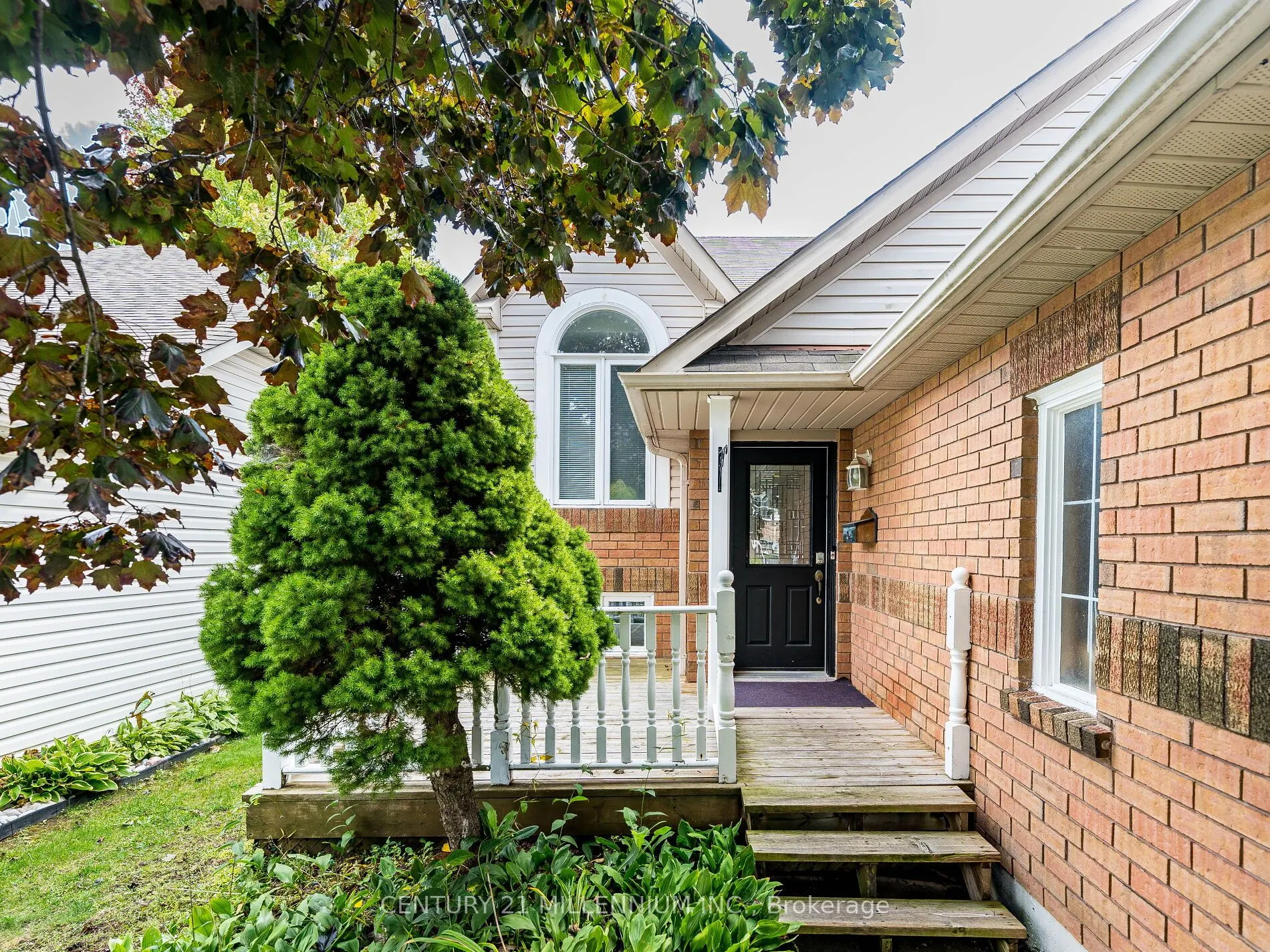 425 Elmwood Court