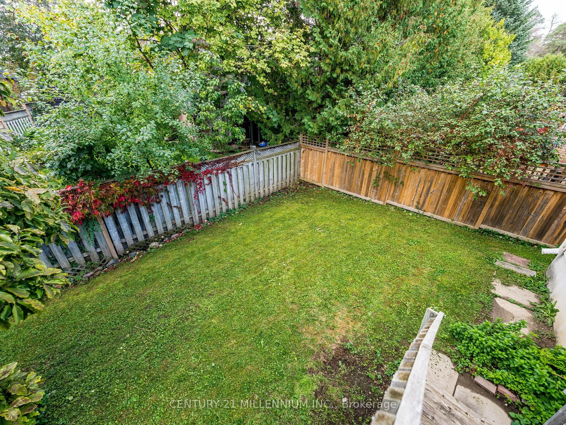 425 Elmwood Court