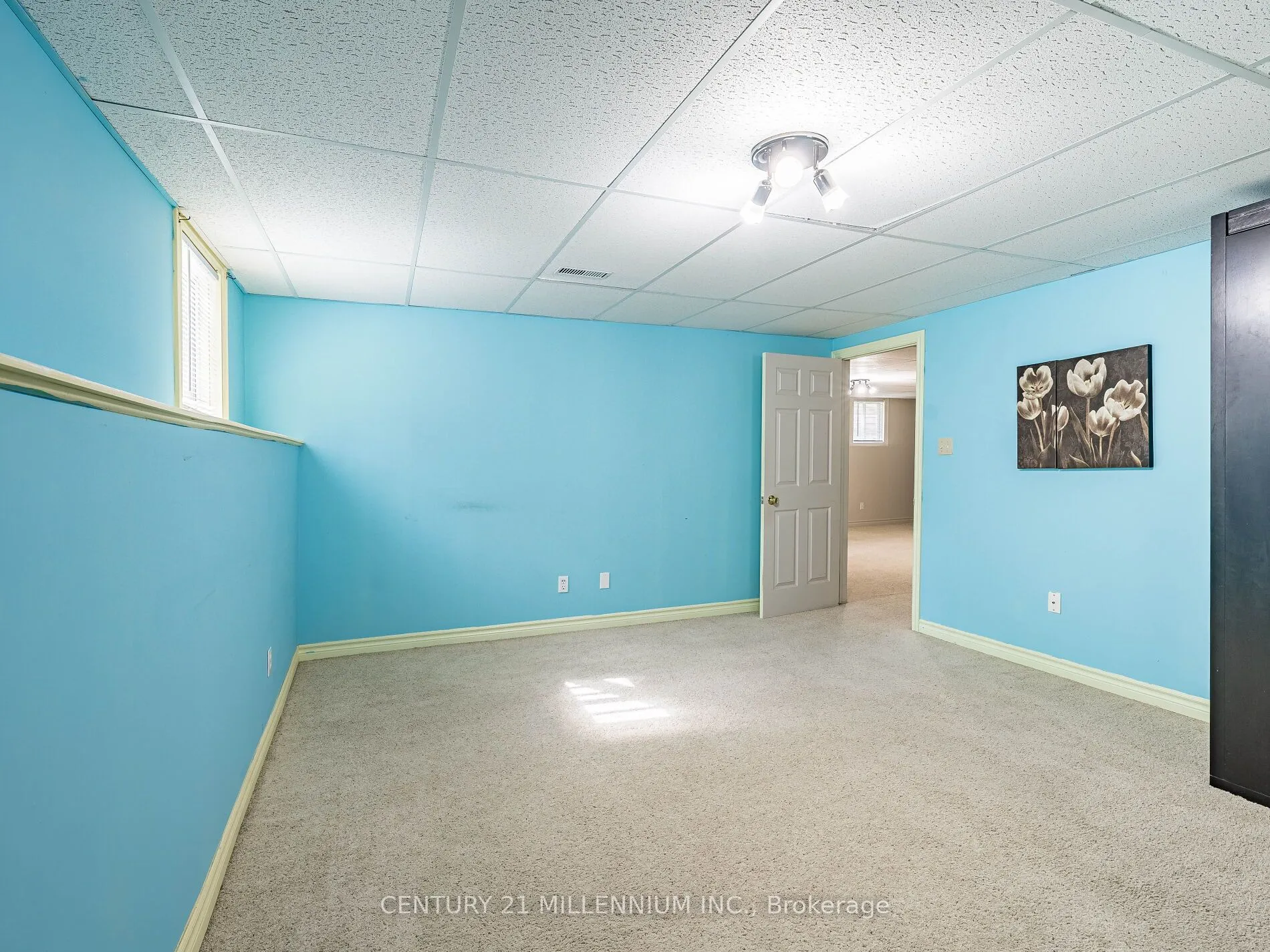425 Elmwood Court