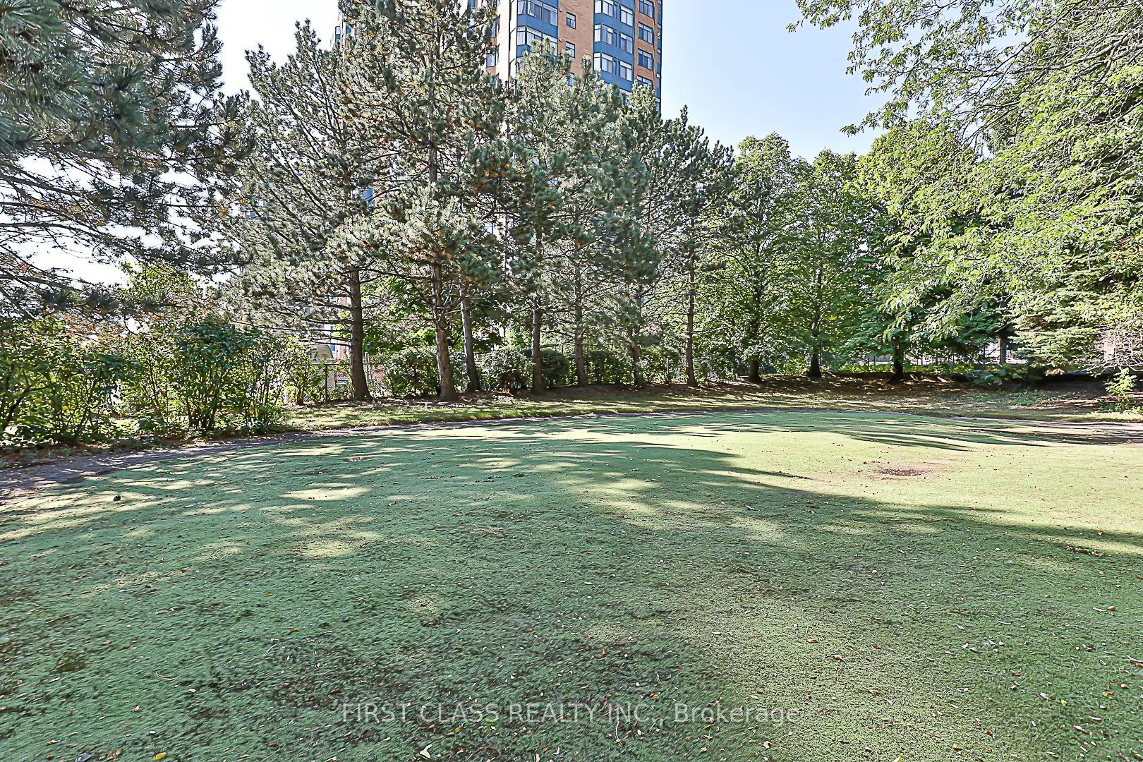 160 Alton Towers Circle, #807