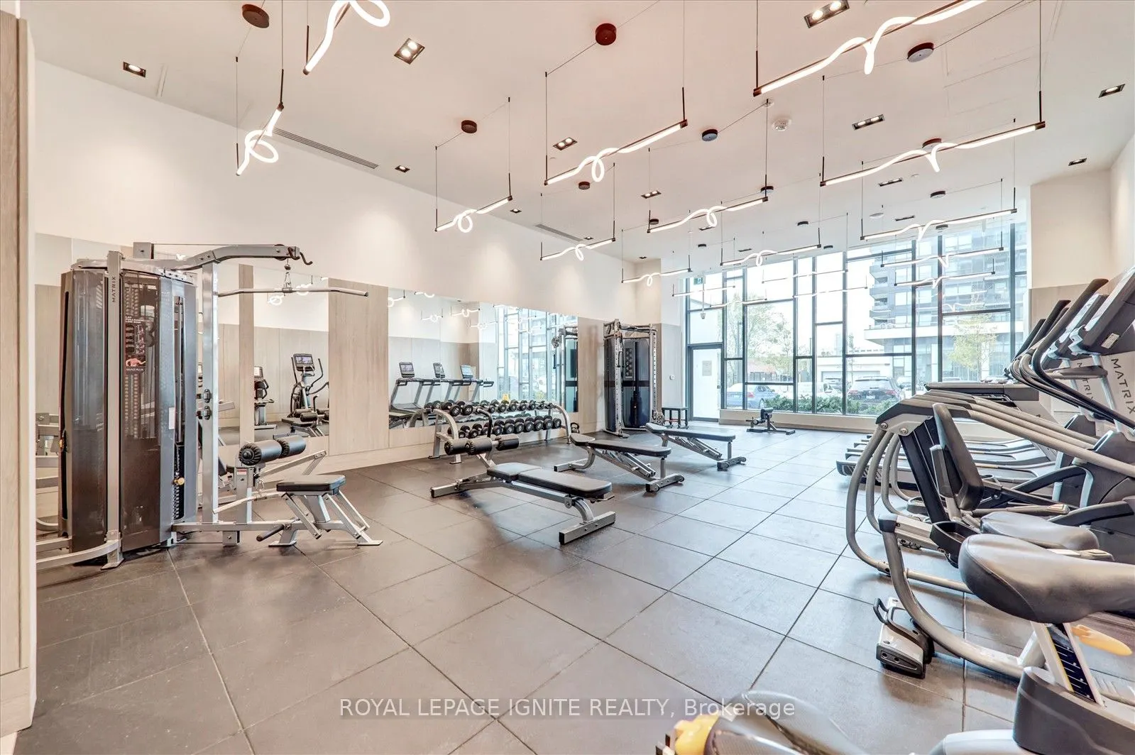 1455 Celebration Drive, #1008