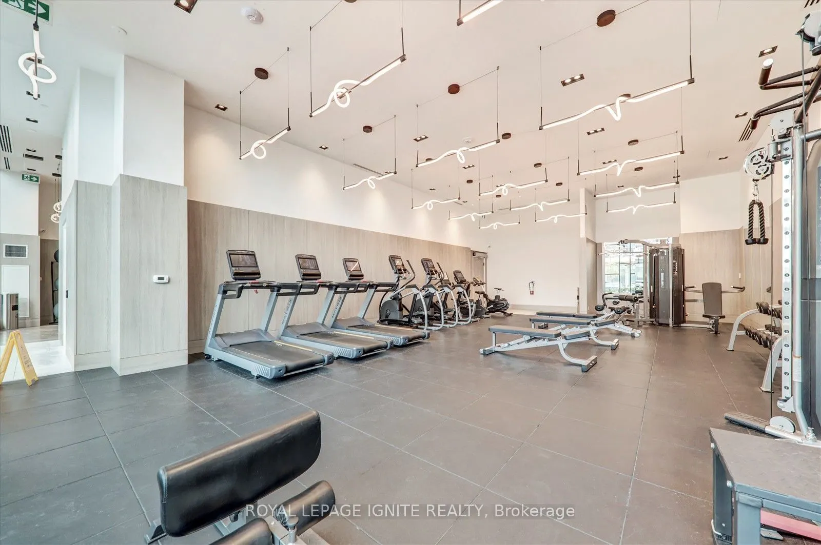 1455 Celebration Drive, #1008
