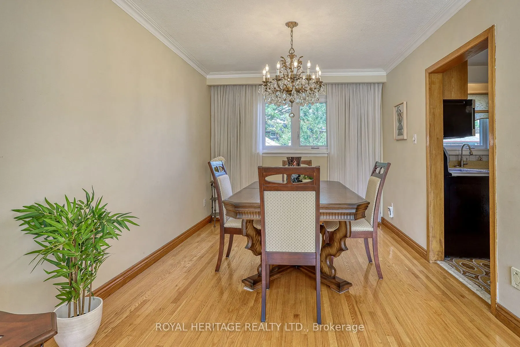 31 Purpledusk Trail