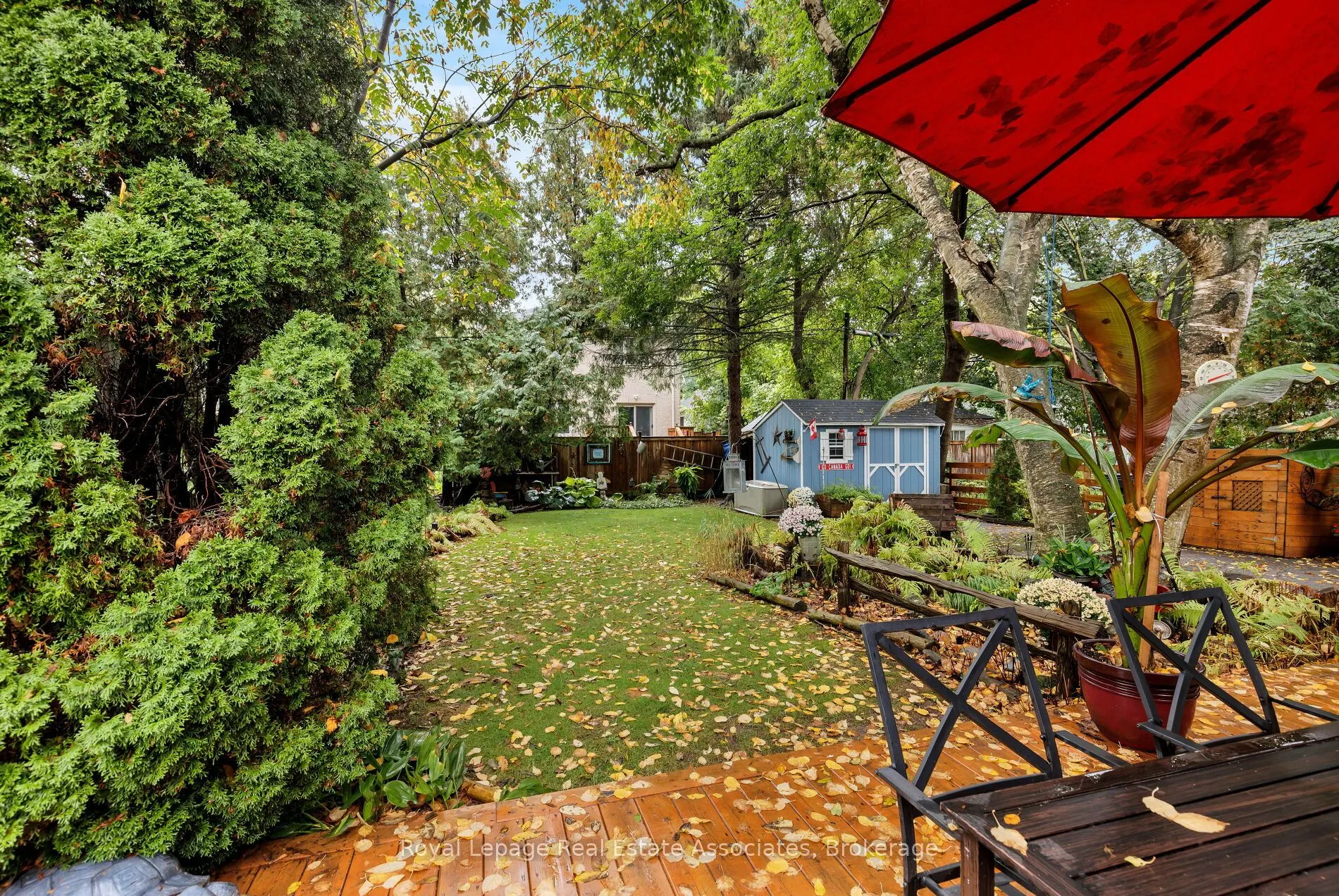 7 Maybourne Avenue