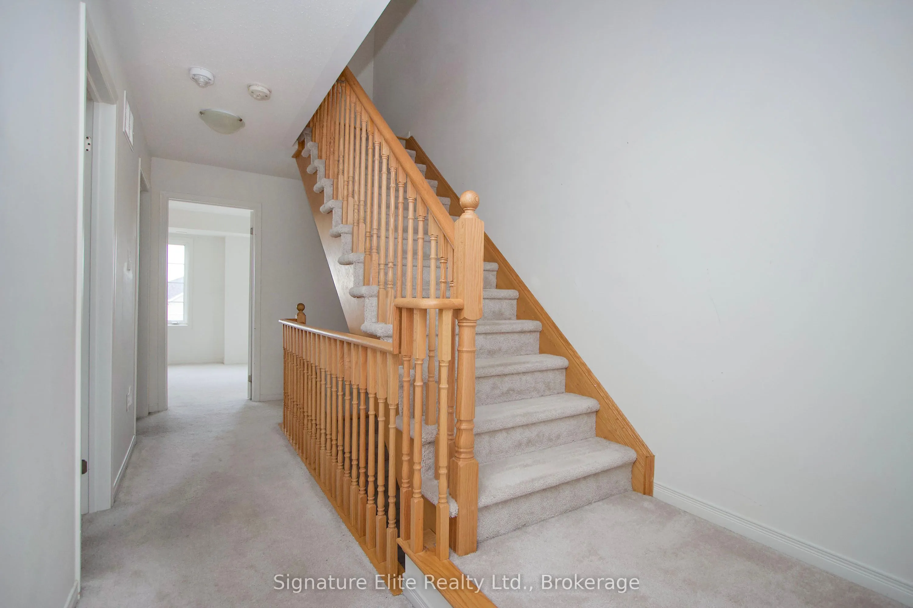 2398 Chevron Prince Path
