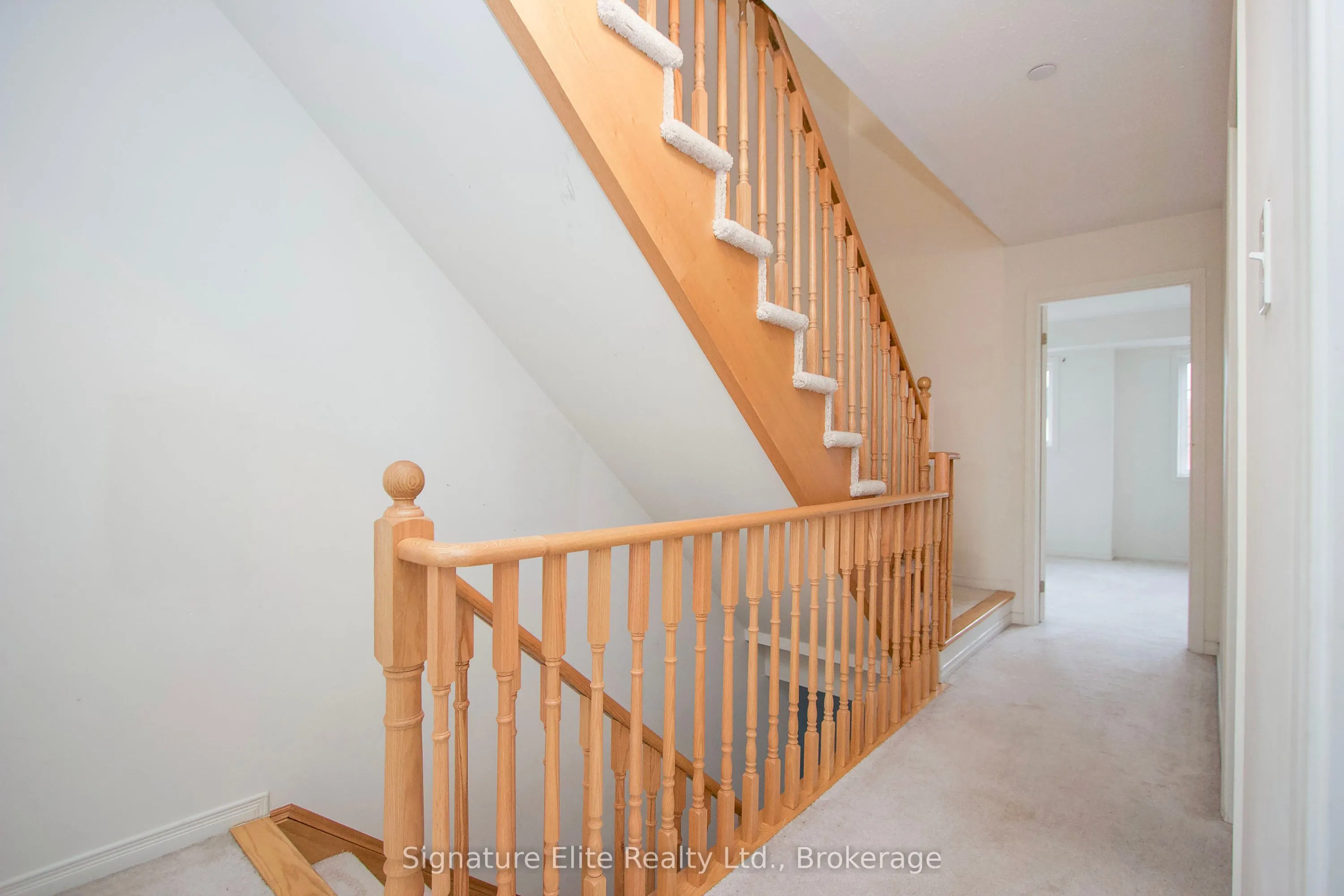 2398 Chevron Prince Path
