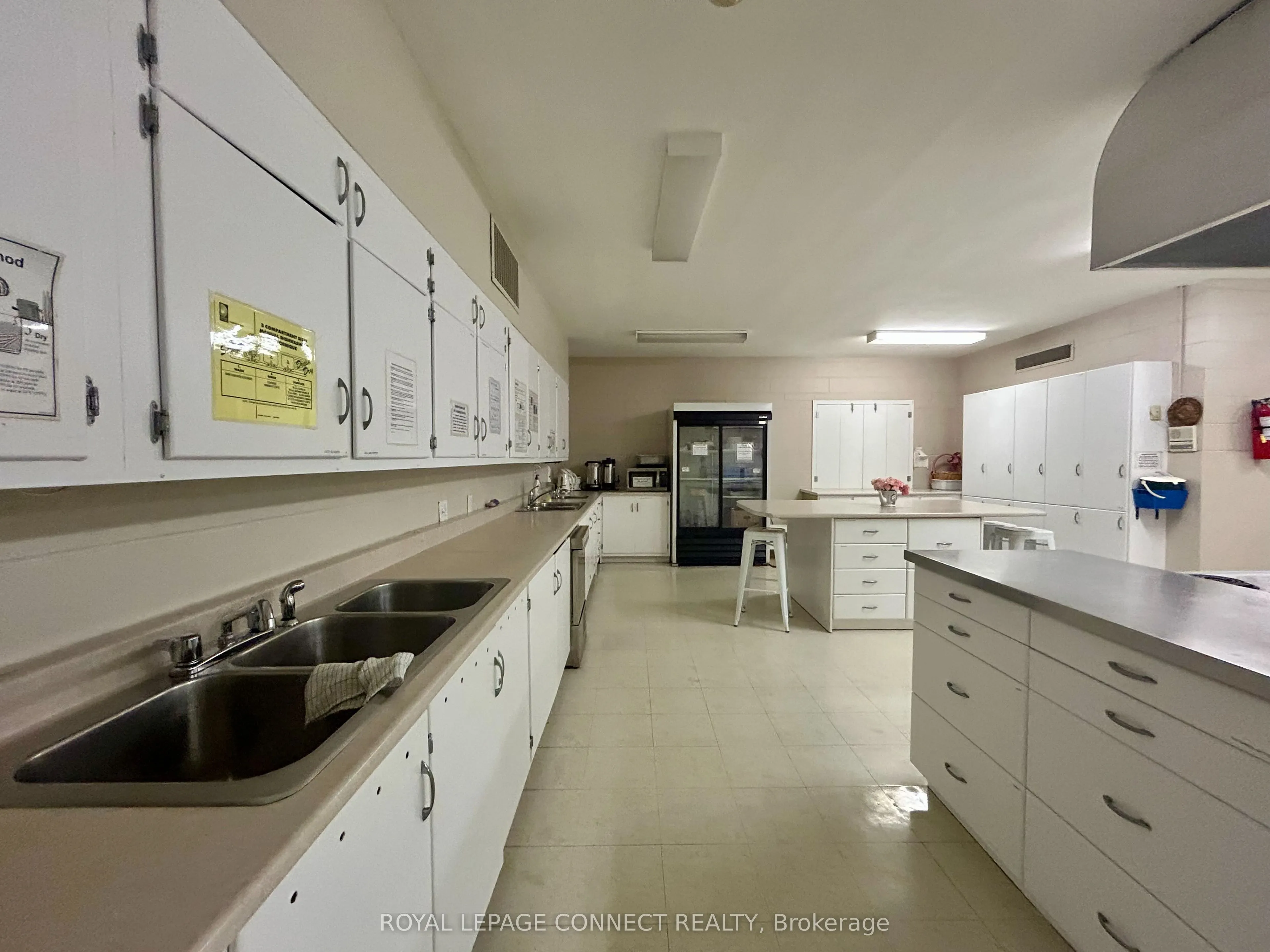676 Simcoe Street N, #lower, off