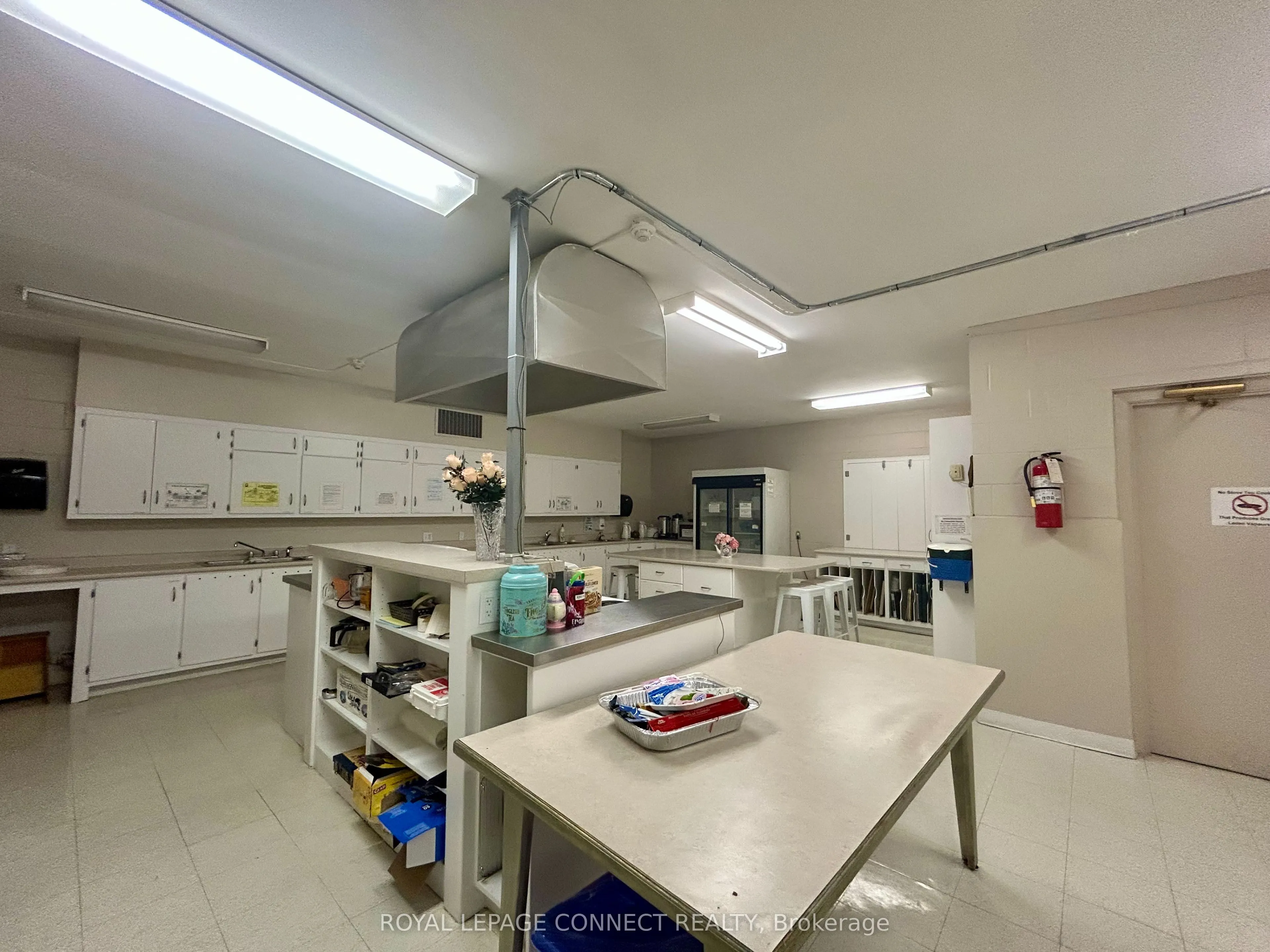 676 Simcoe Street N, #lower, off