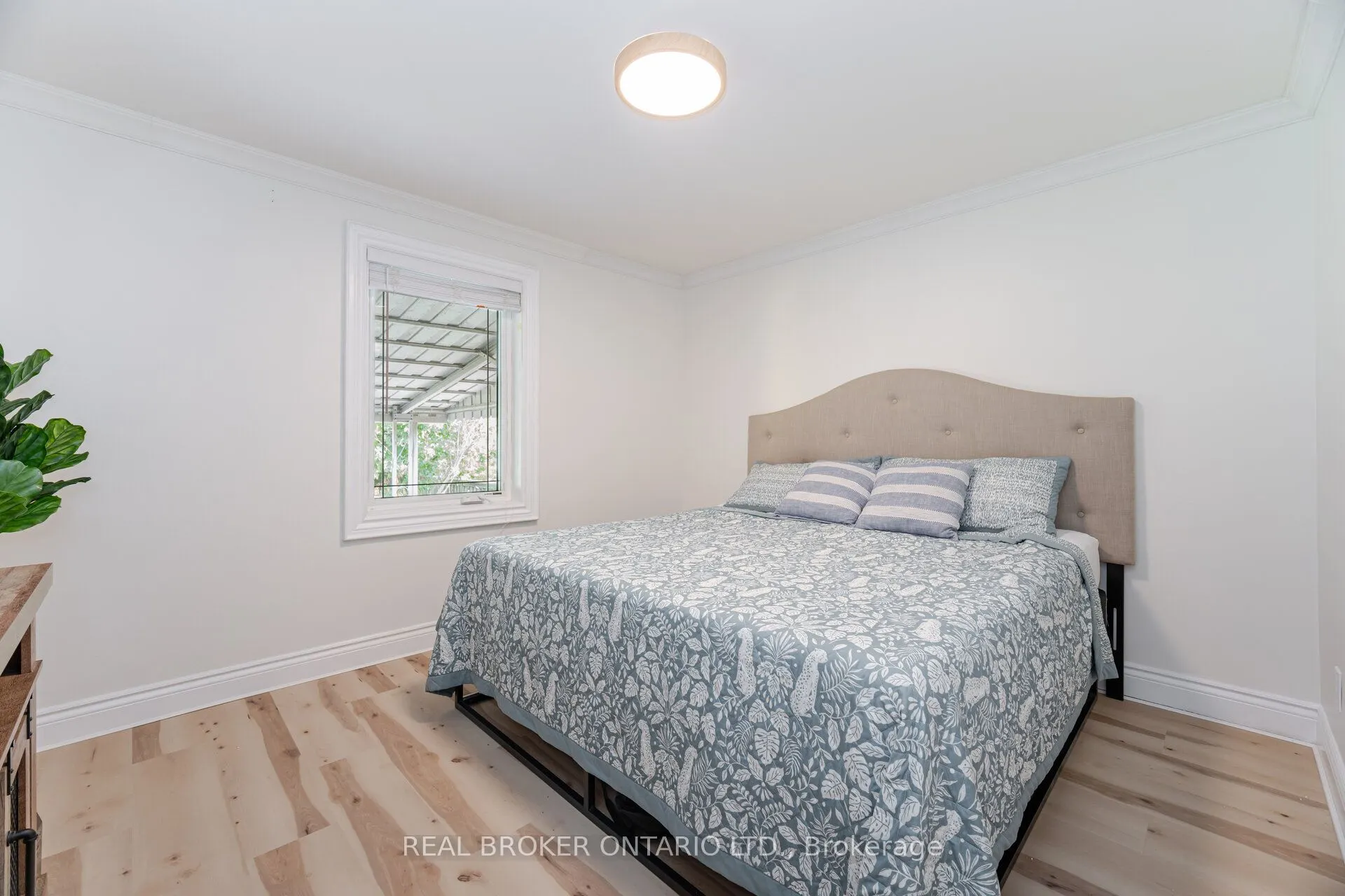 18 Adanac Drive