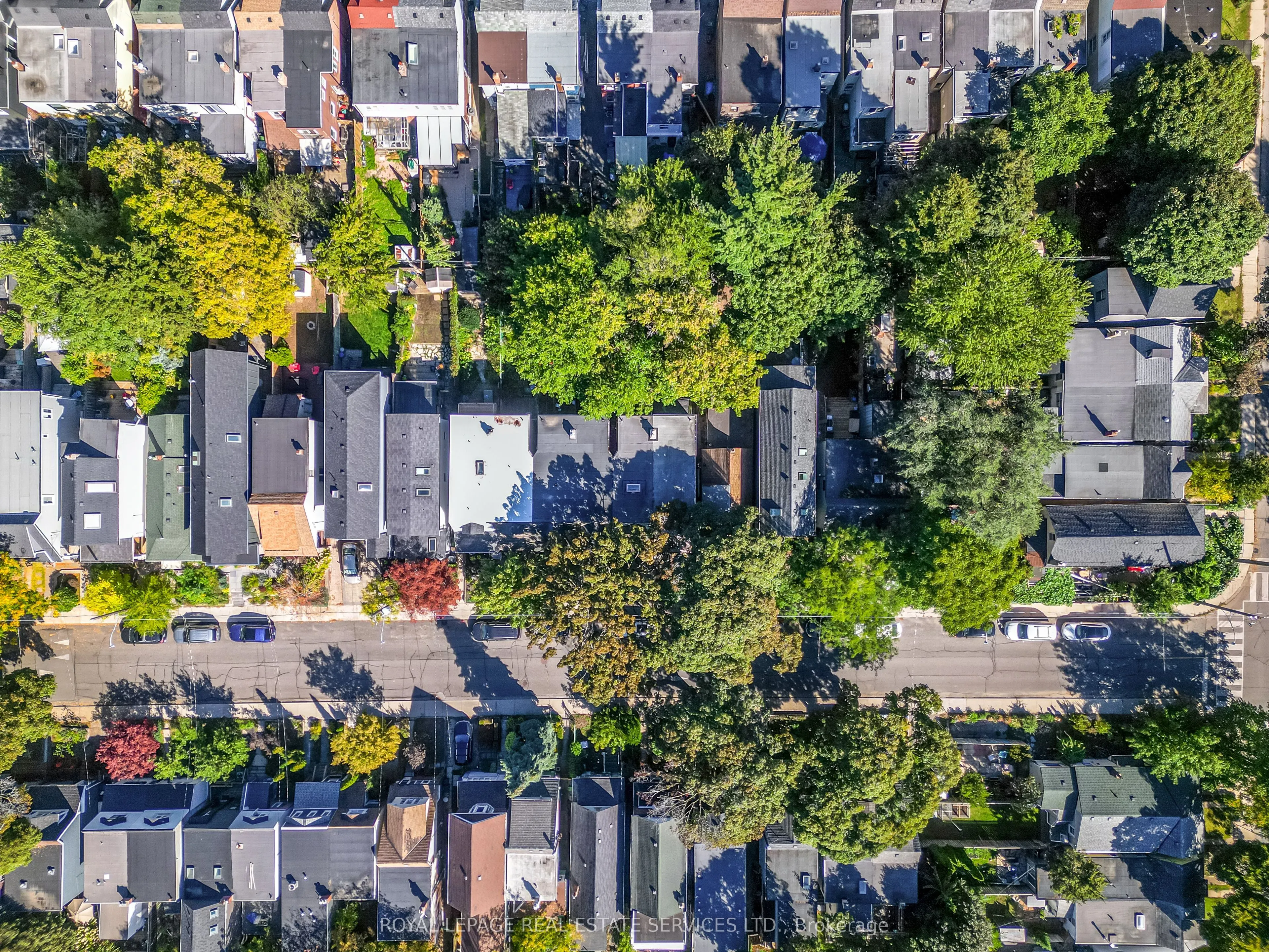 65 Drayton Avenue