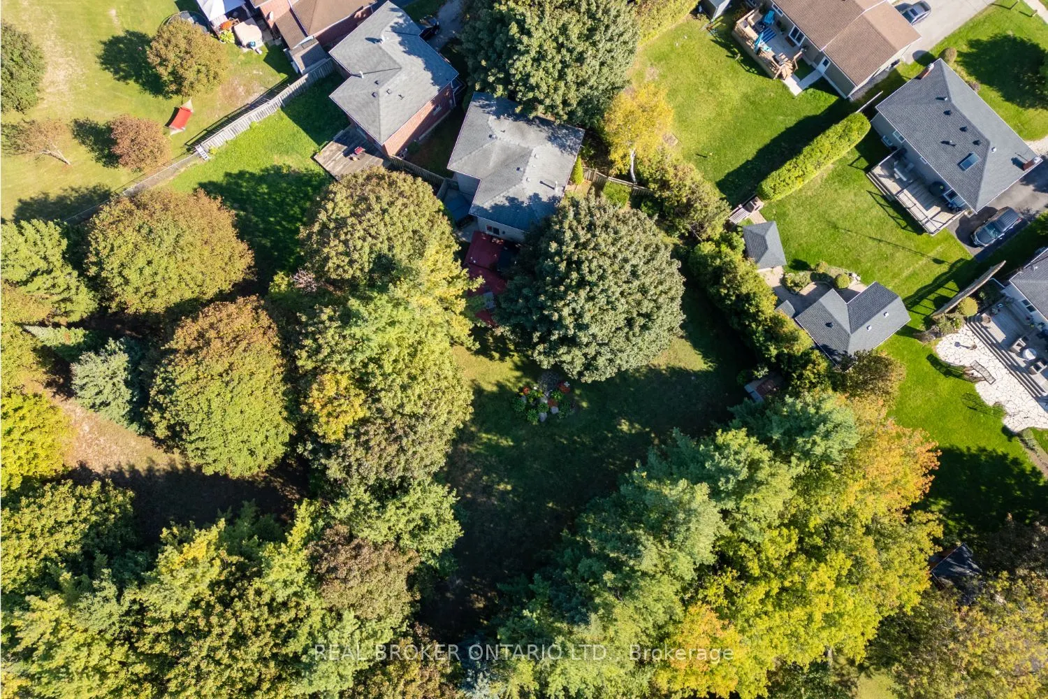 6 Andrew Court