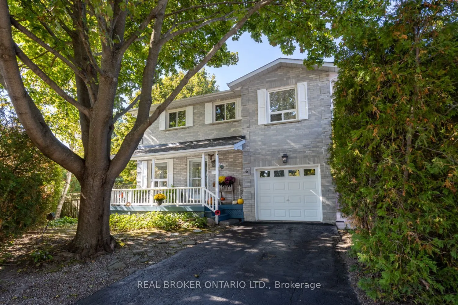 6 Andrew Court