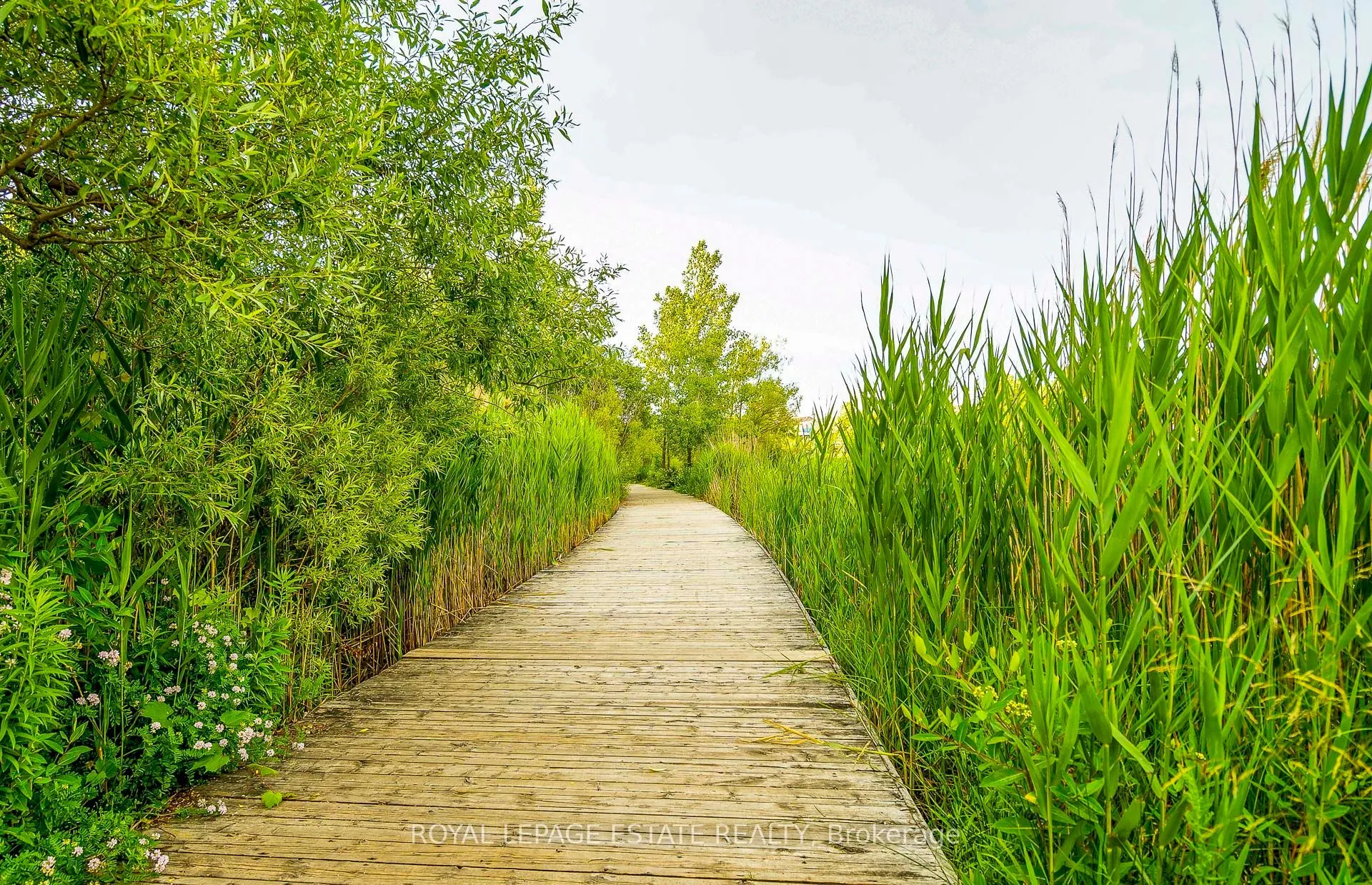 9 Boardwalk Drive, #Ph9
