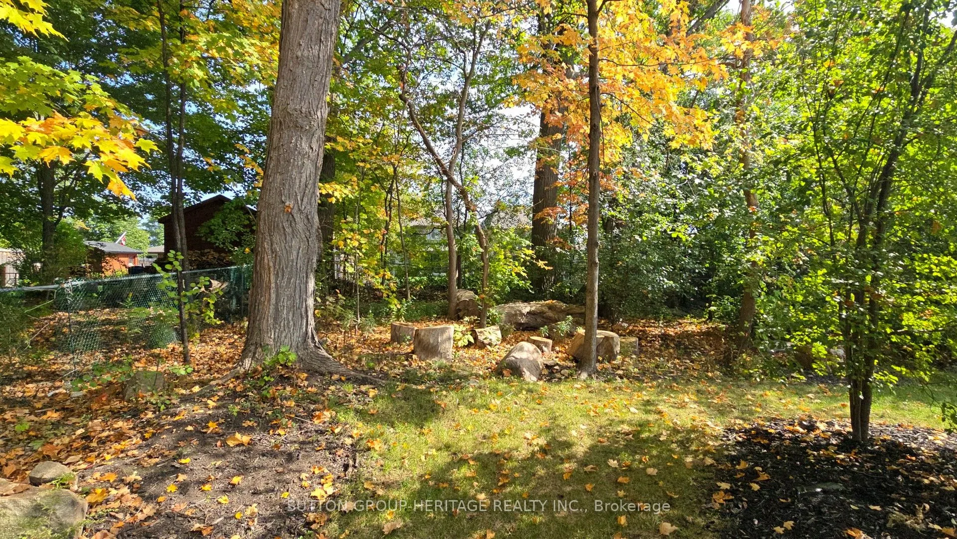 1459 Old Forest Road
