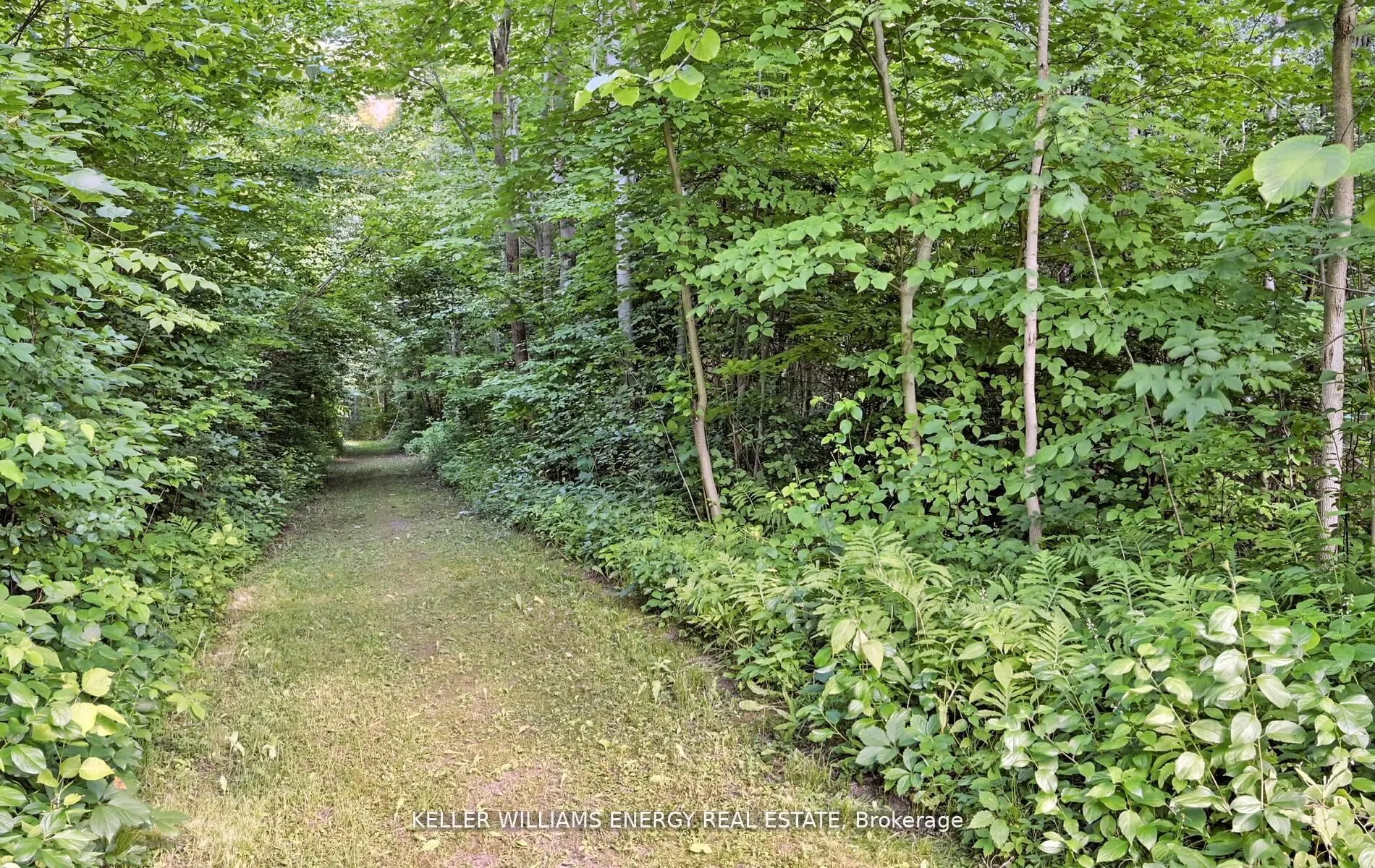 19375 Mississaugas Trail