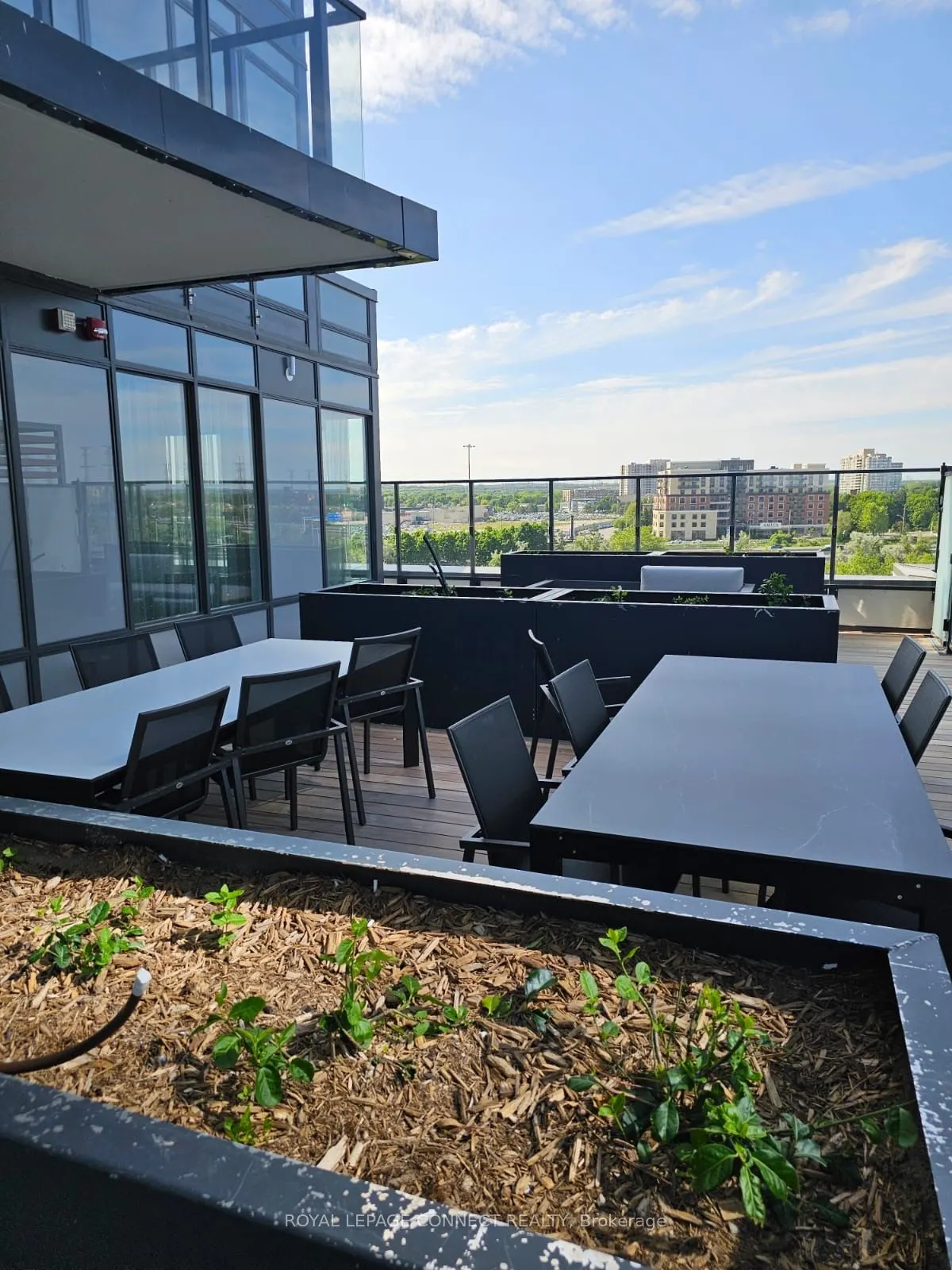 1435 Celebration Drive, #1802