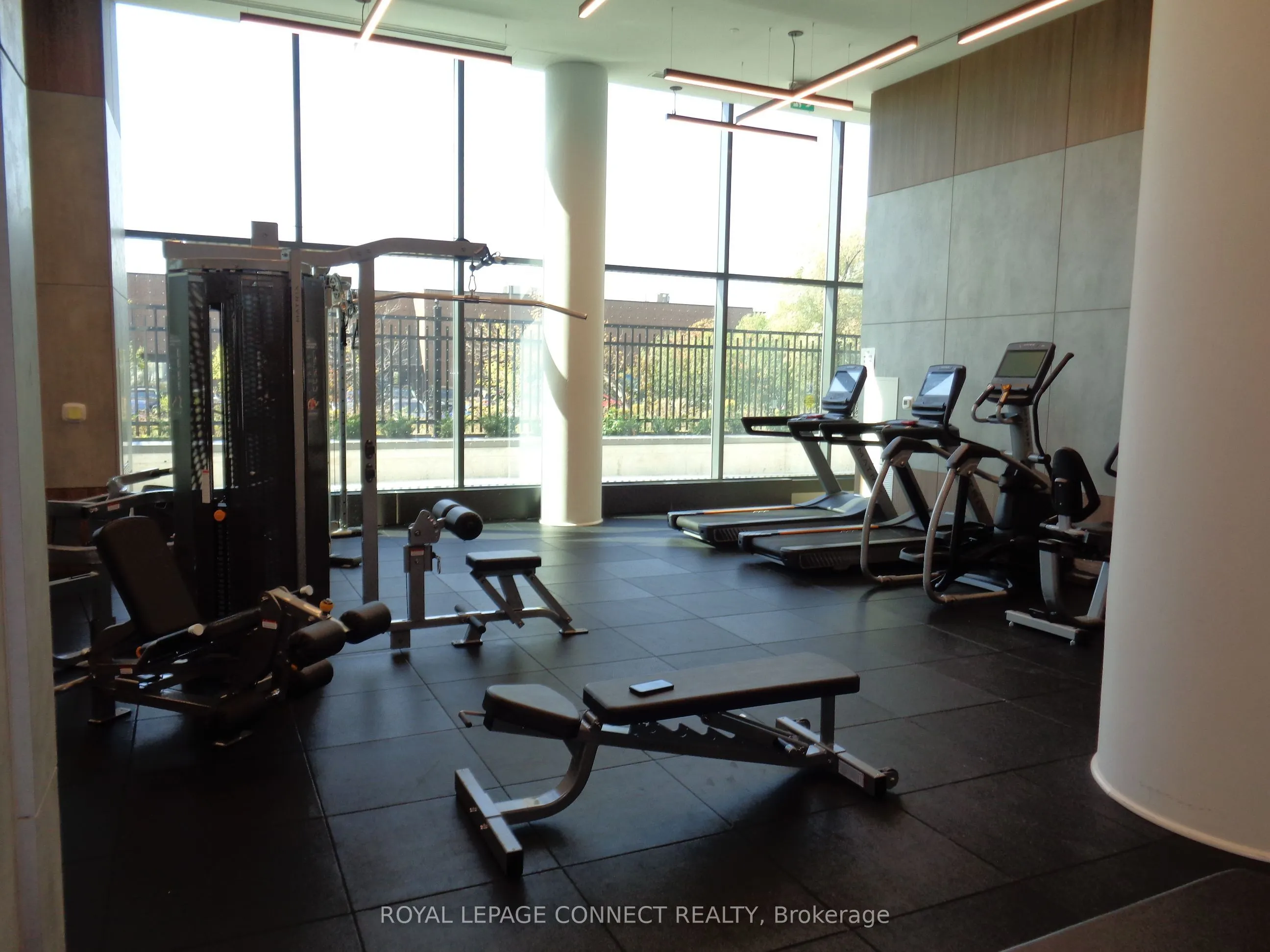 1435 Celebration Drive, #1802